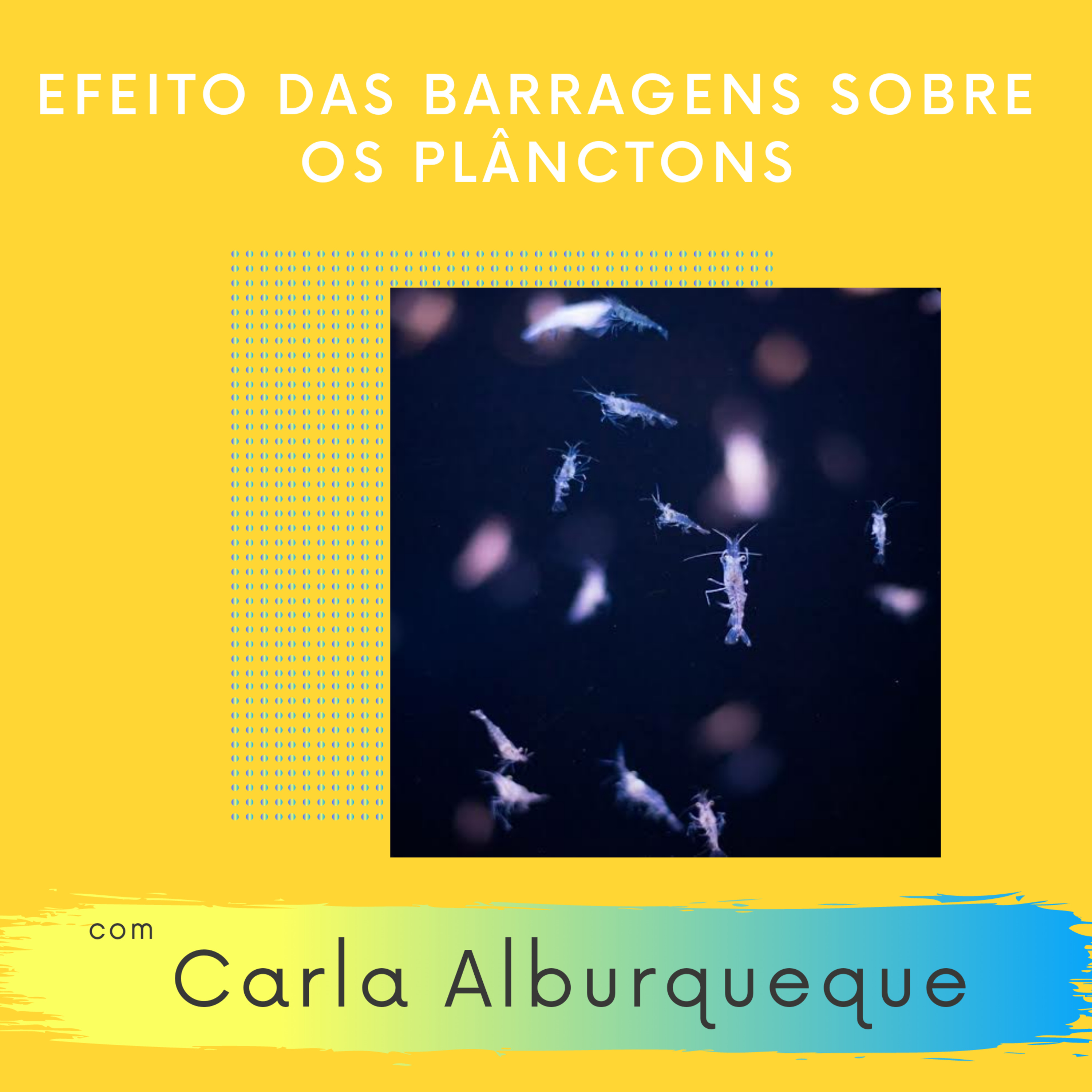 Facilitaí