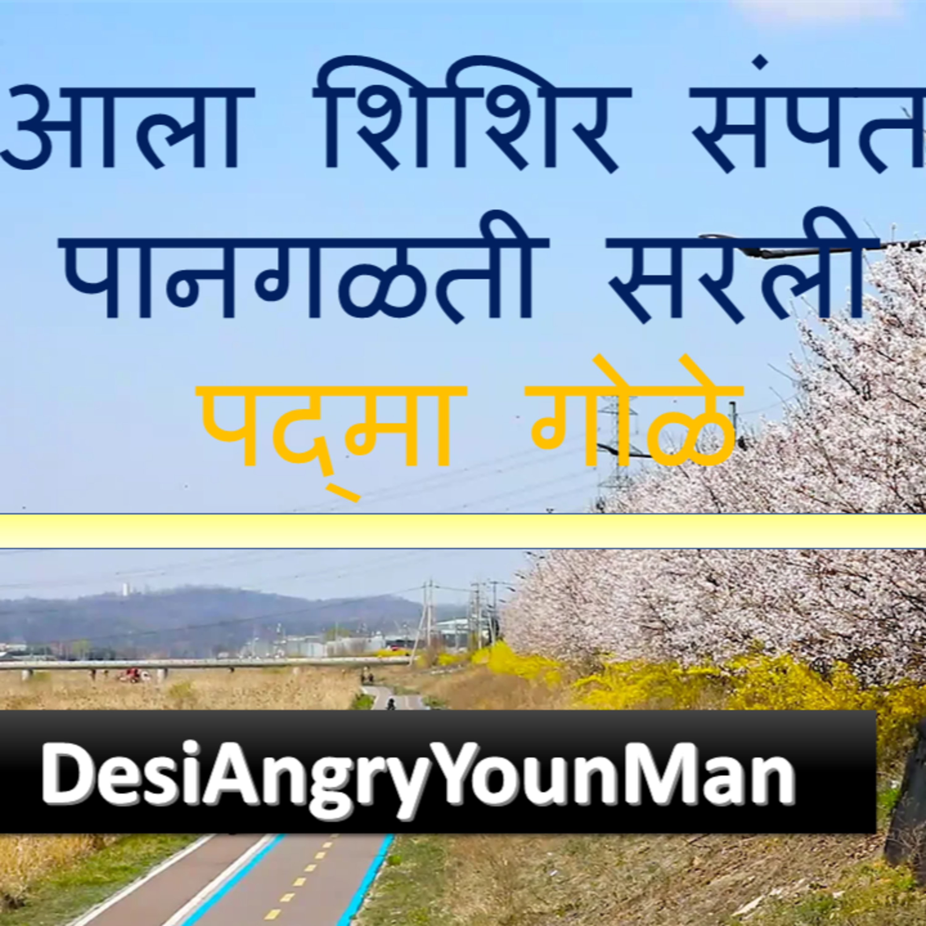 DesiAngryYoungMan