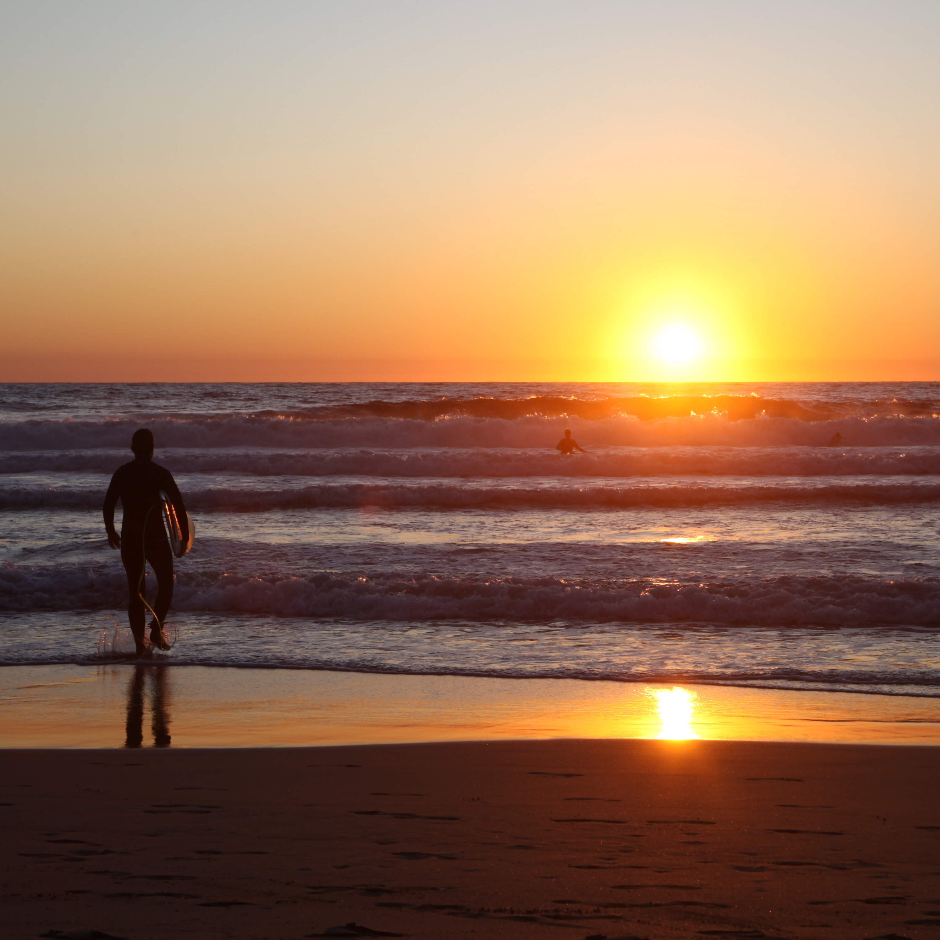 #07 Hai-Alarm – Manly Beach, Sydney, Australien episode artwork