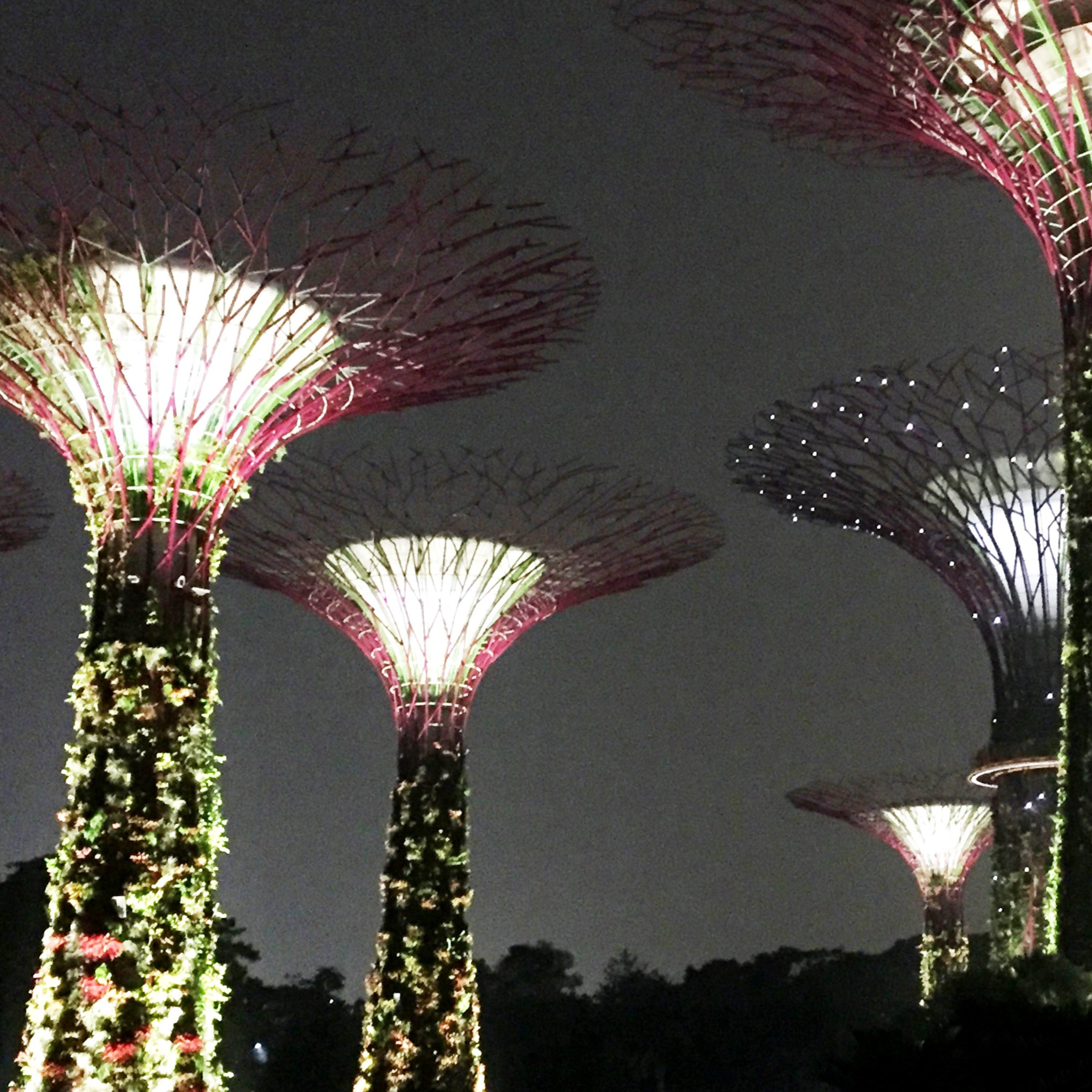 #08 Das Lied vom Glück – Gardens by the Bay, Singapur episode artwork