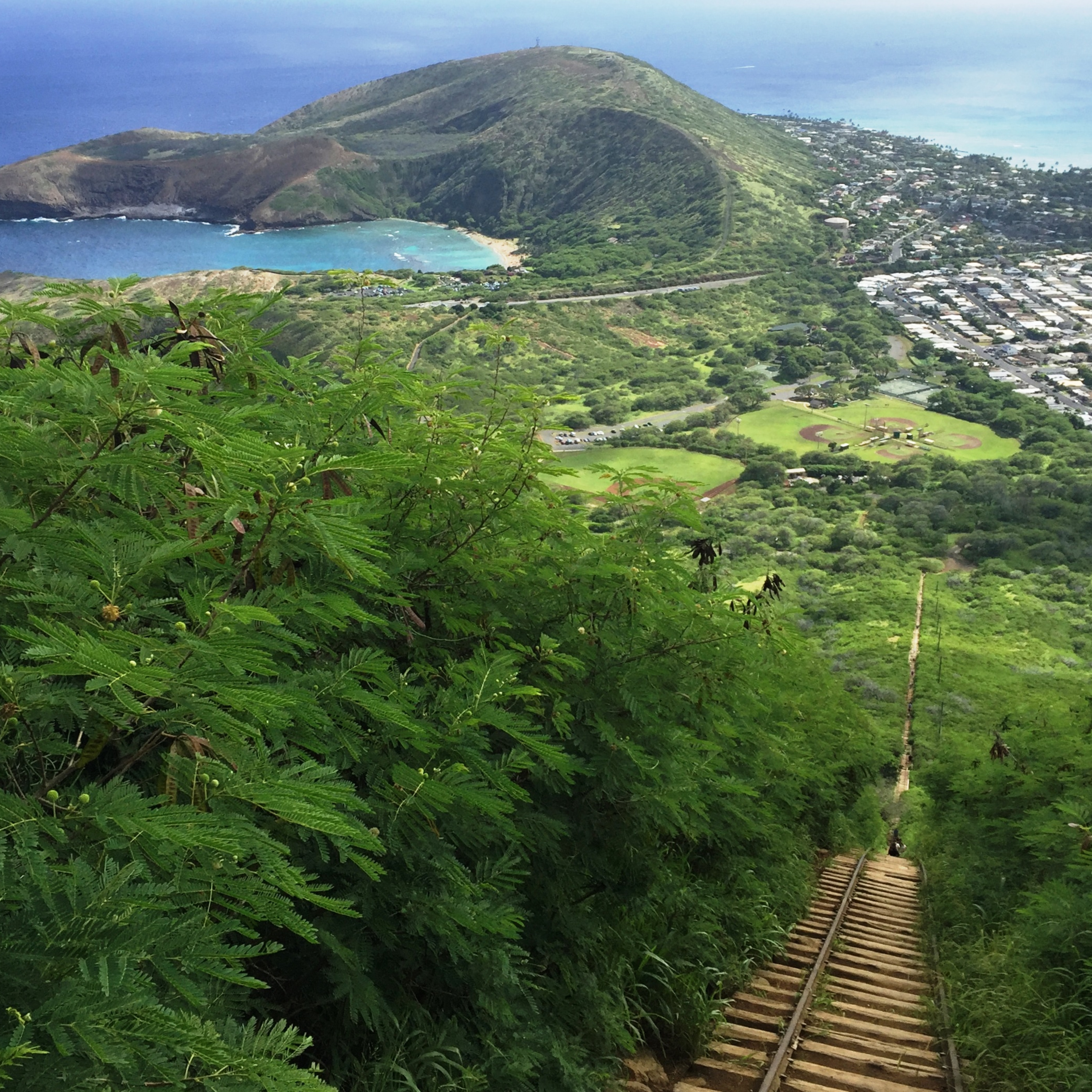 #10 Bis zum Himmel von Hawaii – Waikiki, Hawaii episode artwork