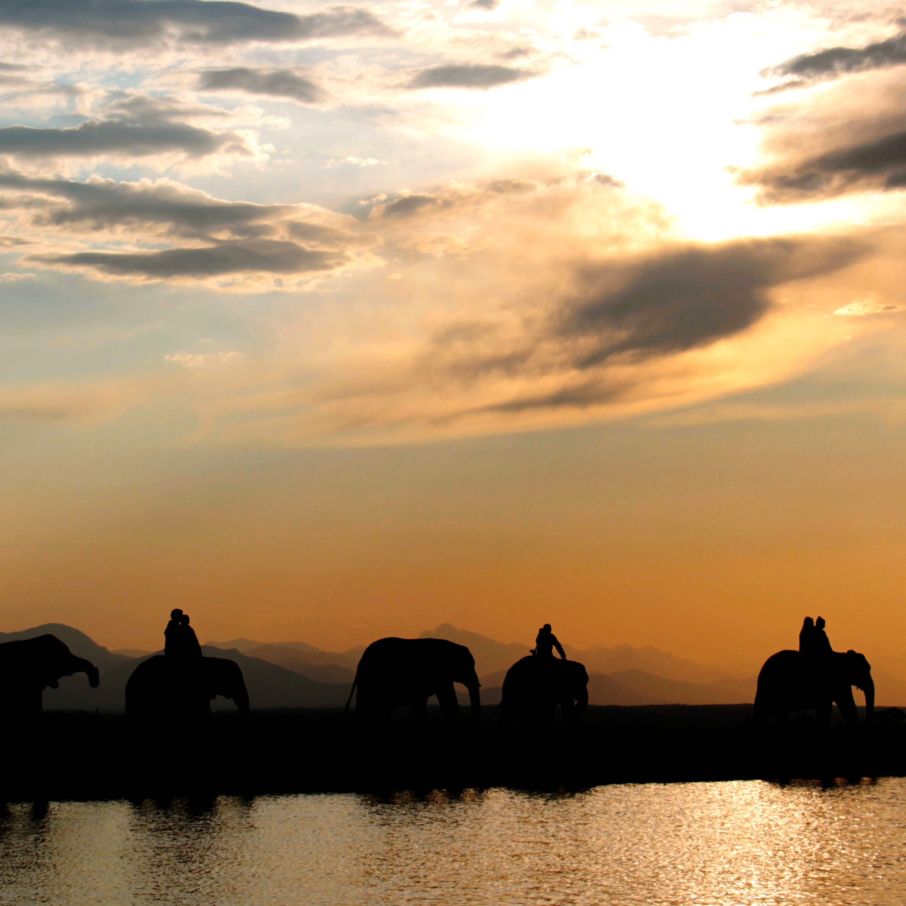#26 Auf dem Rücken eines Elefanten – Knysna, Südafrika