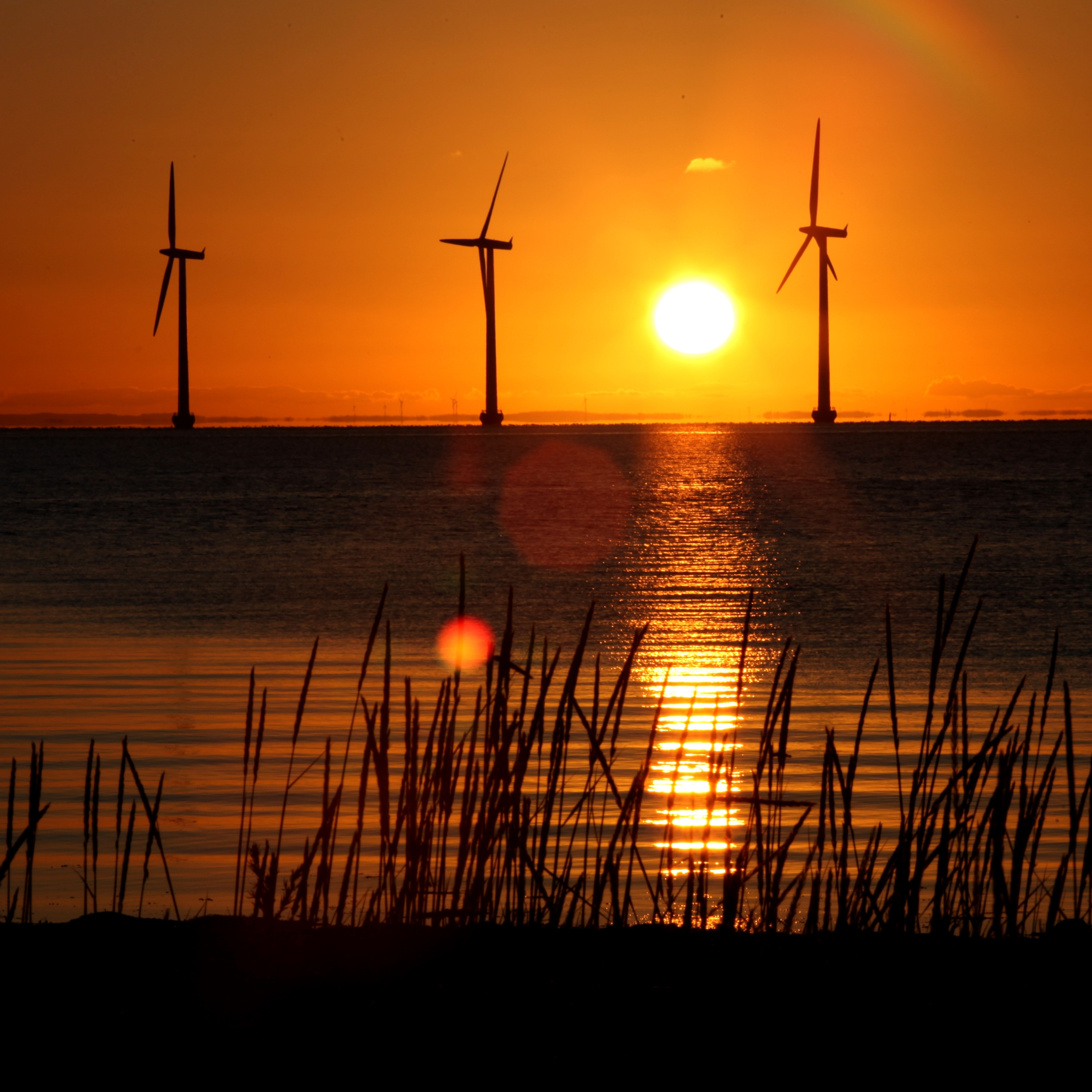 #27 Reisen, Corona und das Klima – Bonusfolge mit Philipp Laage