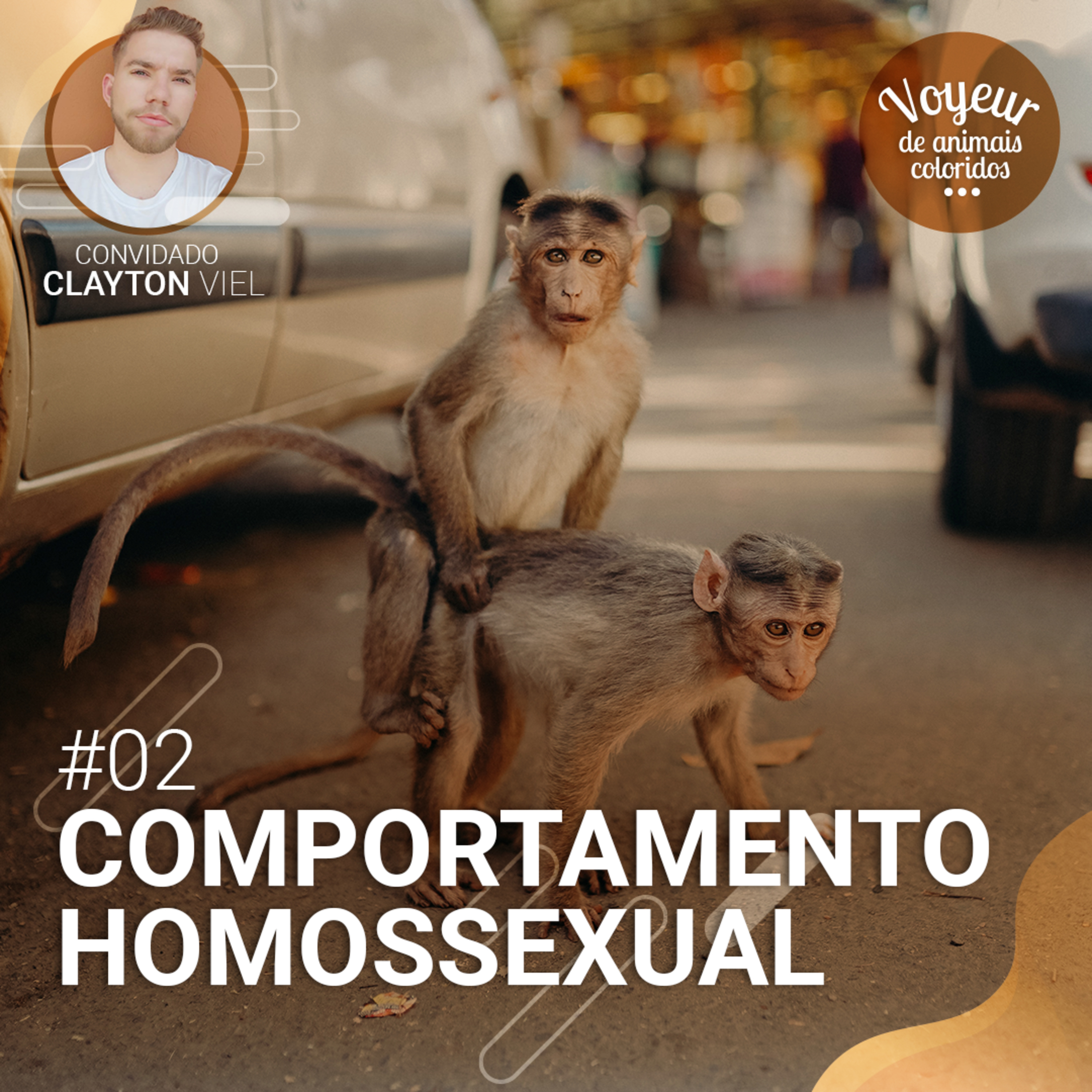 Voyeur de Animais Coloridos