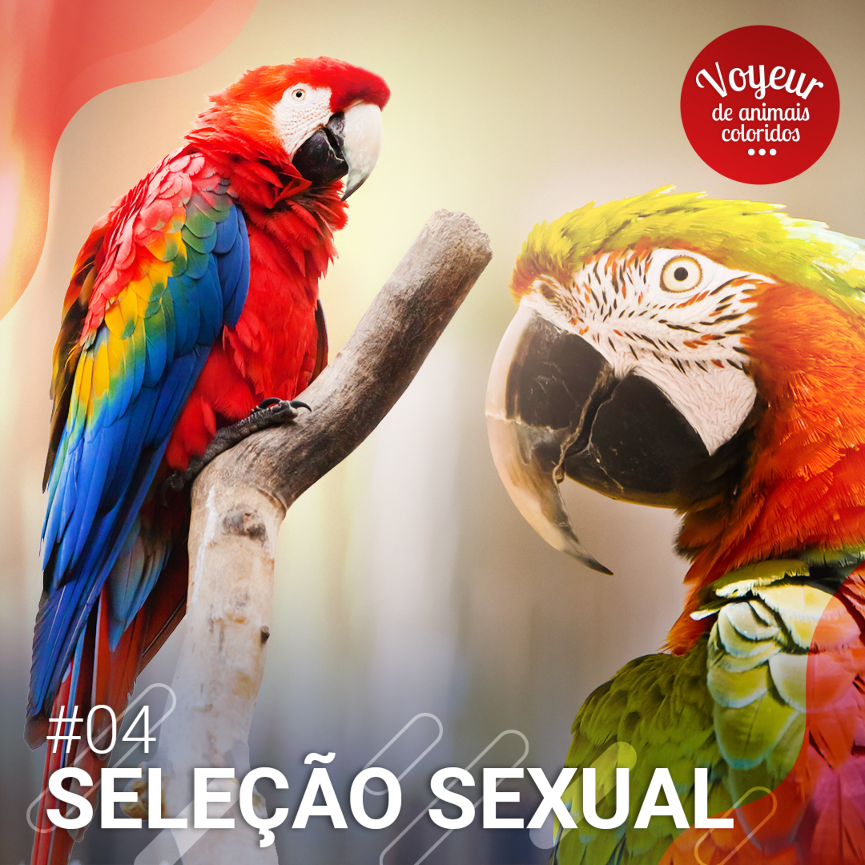 Voyeur de Animais Coloridos