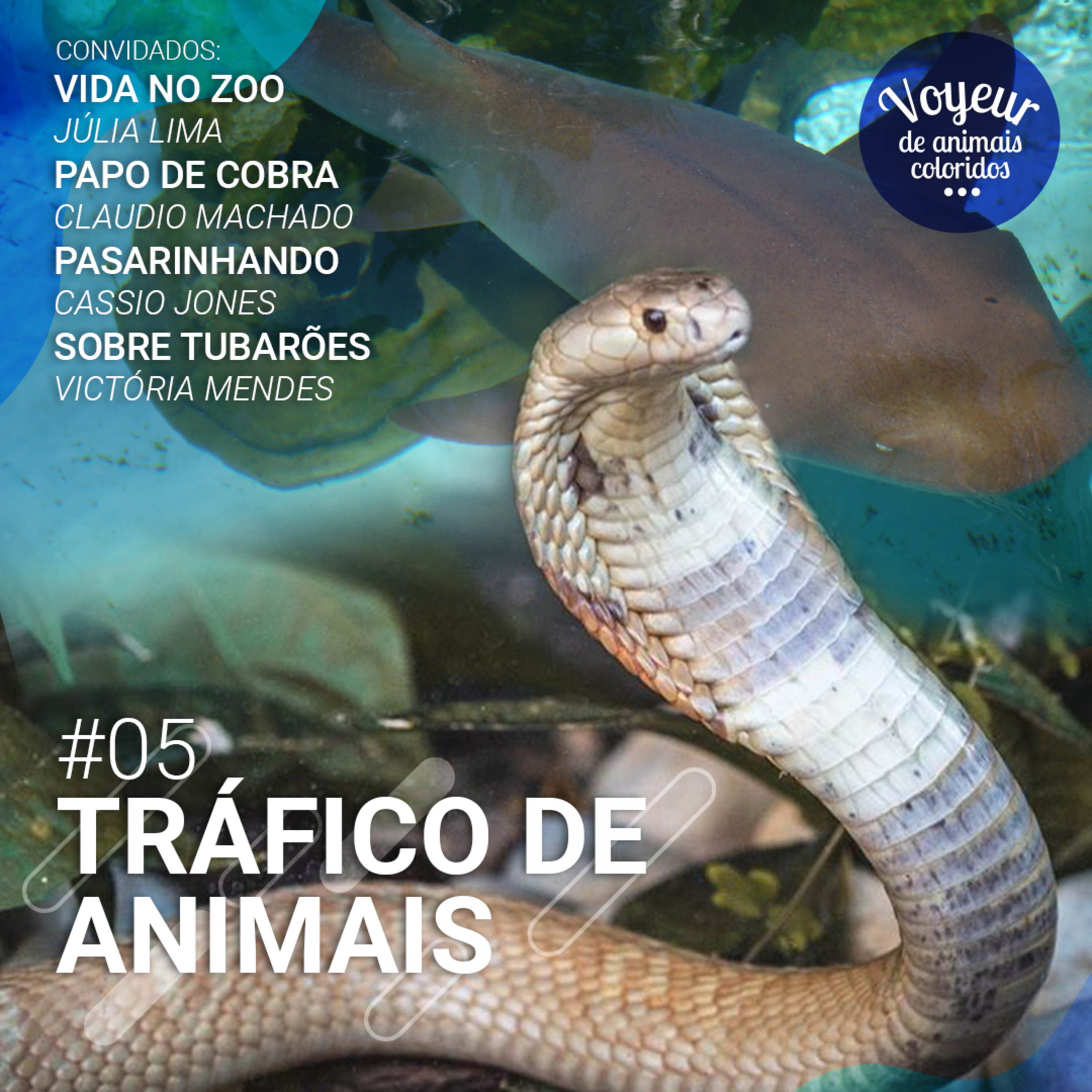 Voyeur de Animais Coloridos