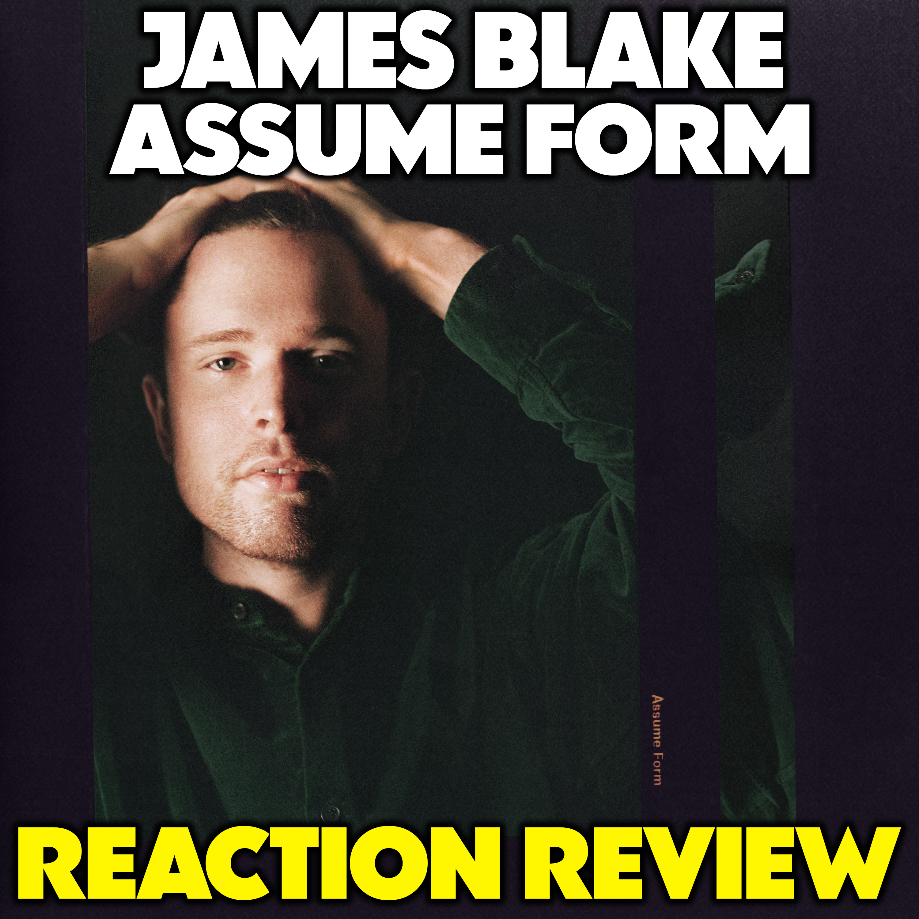 JUNGLE BEATS MEDIA - REACTION/REVIEWS