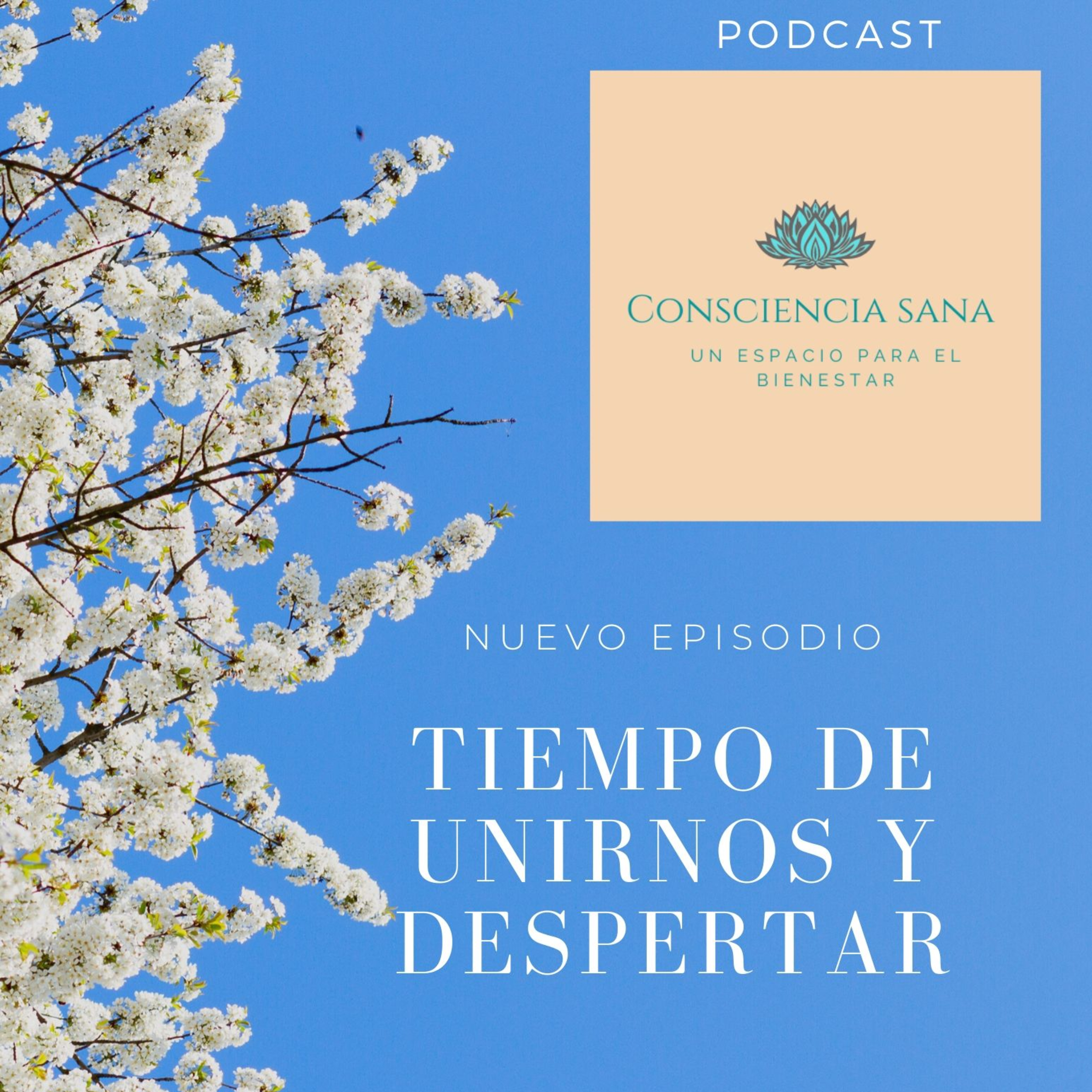 Consciencia Sana: Un espacio para el Bienestar