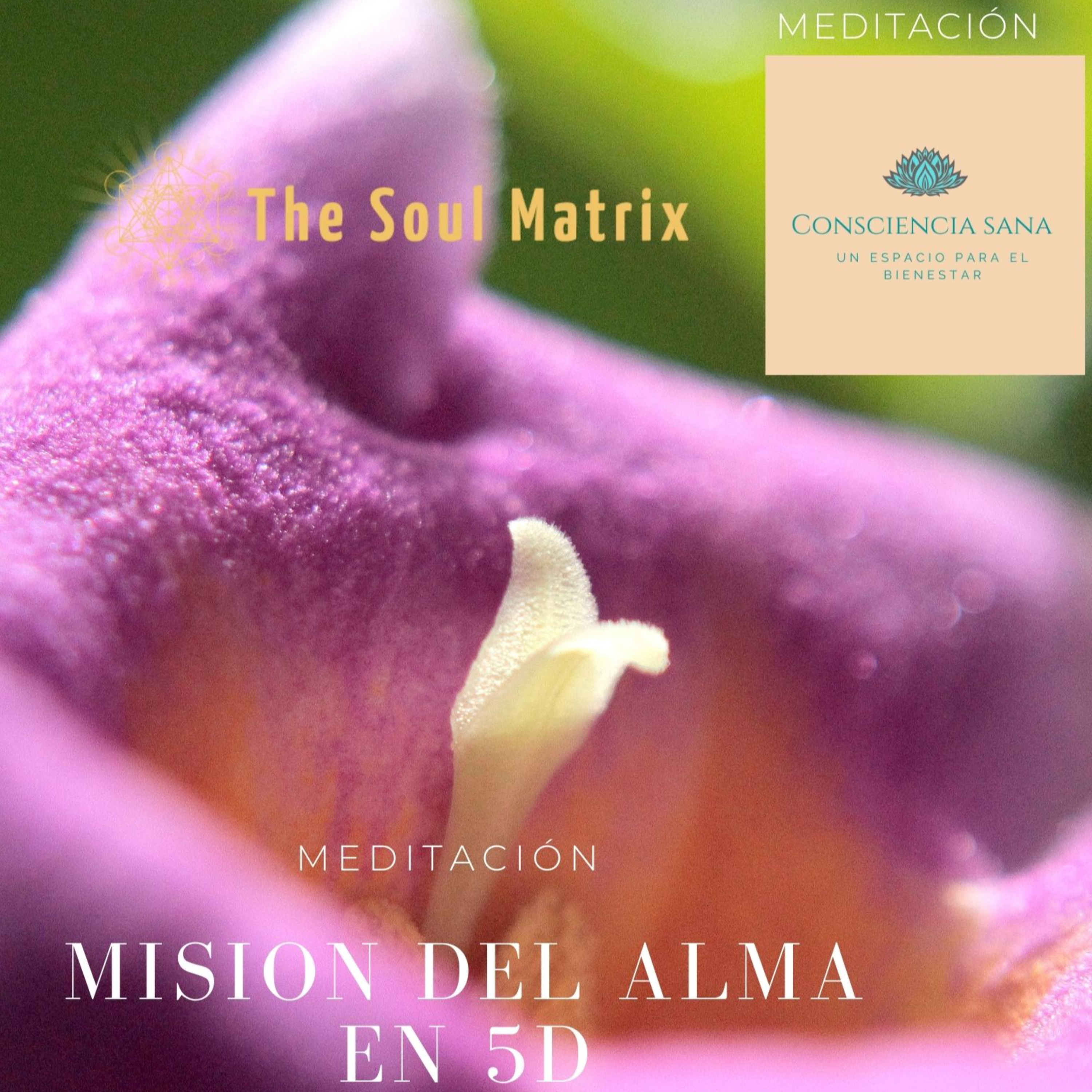 Meditación para la Misión del Alma en 5D