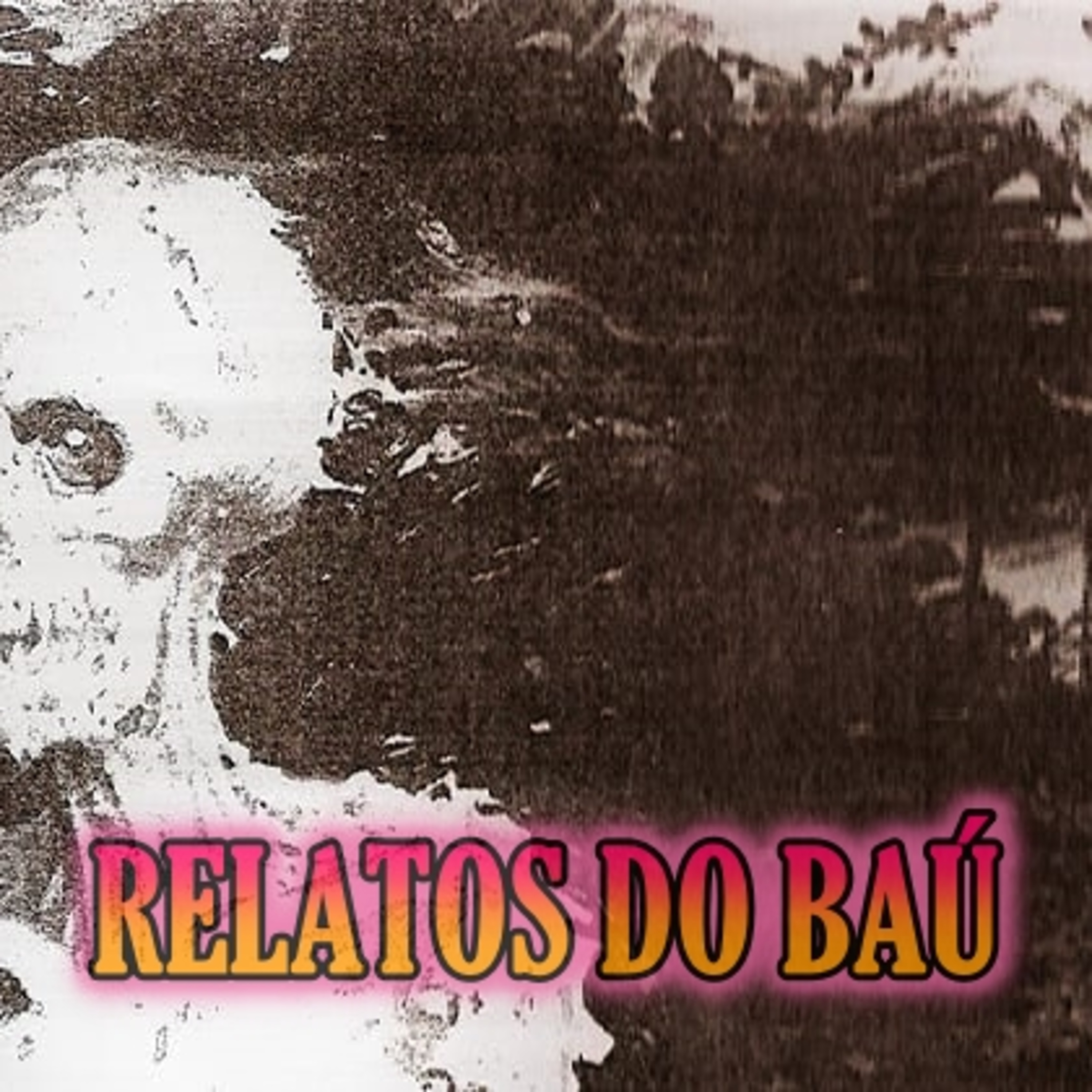 Baú de Vinil
