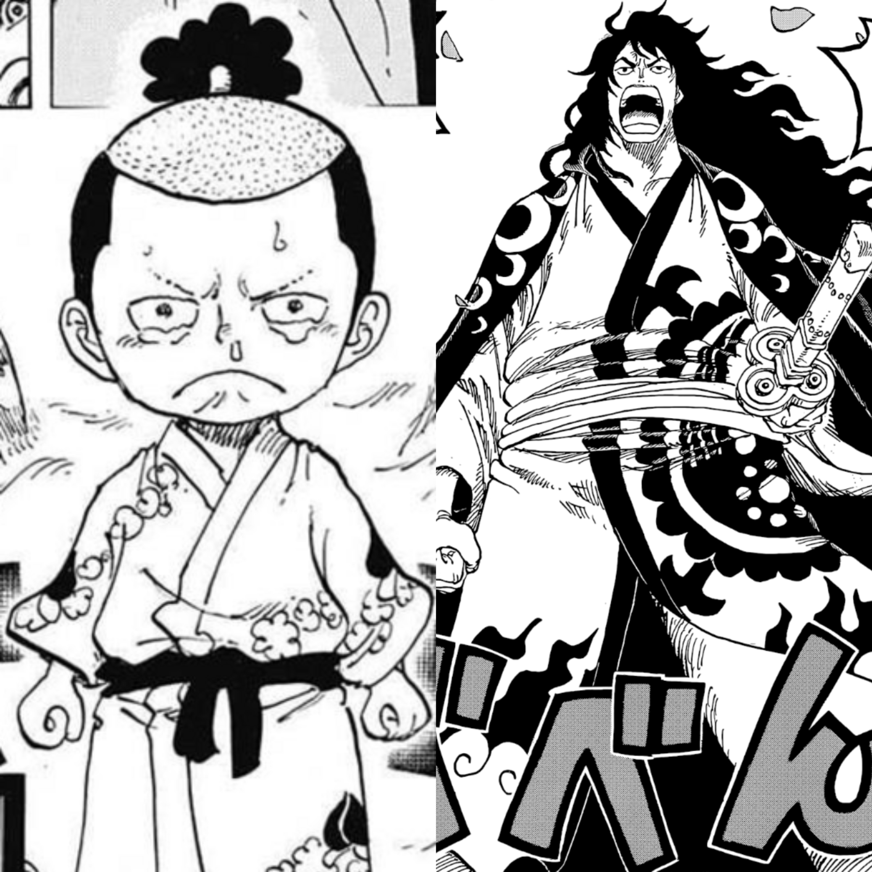 FROM CHILD TO MAN: SHOGUN KOZUKI MOMONOSUKE!! One Piece Chapter 1051 Review 🤯🤩 episode artwork