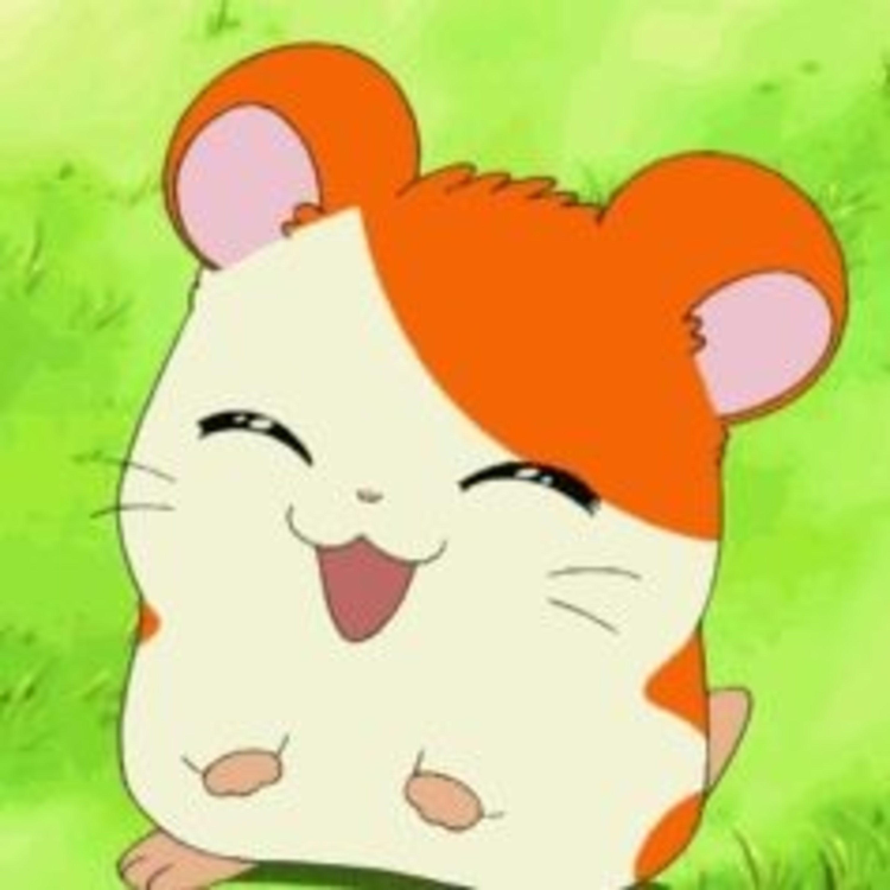 Top 5 Favorite Hamtaro Episodes! 🐹 episode artwork