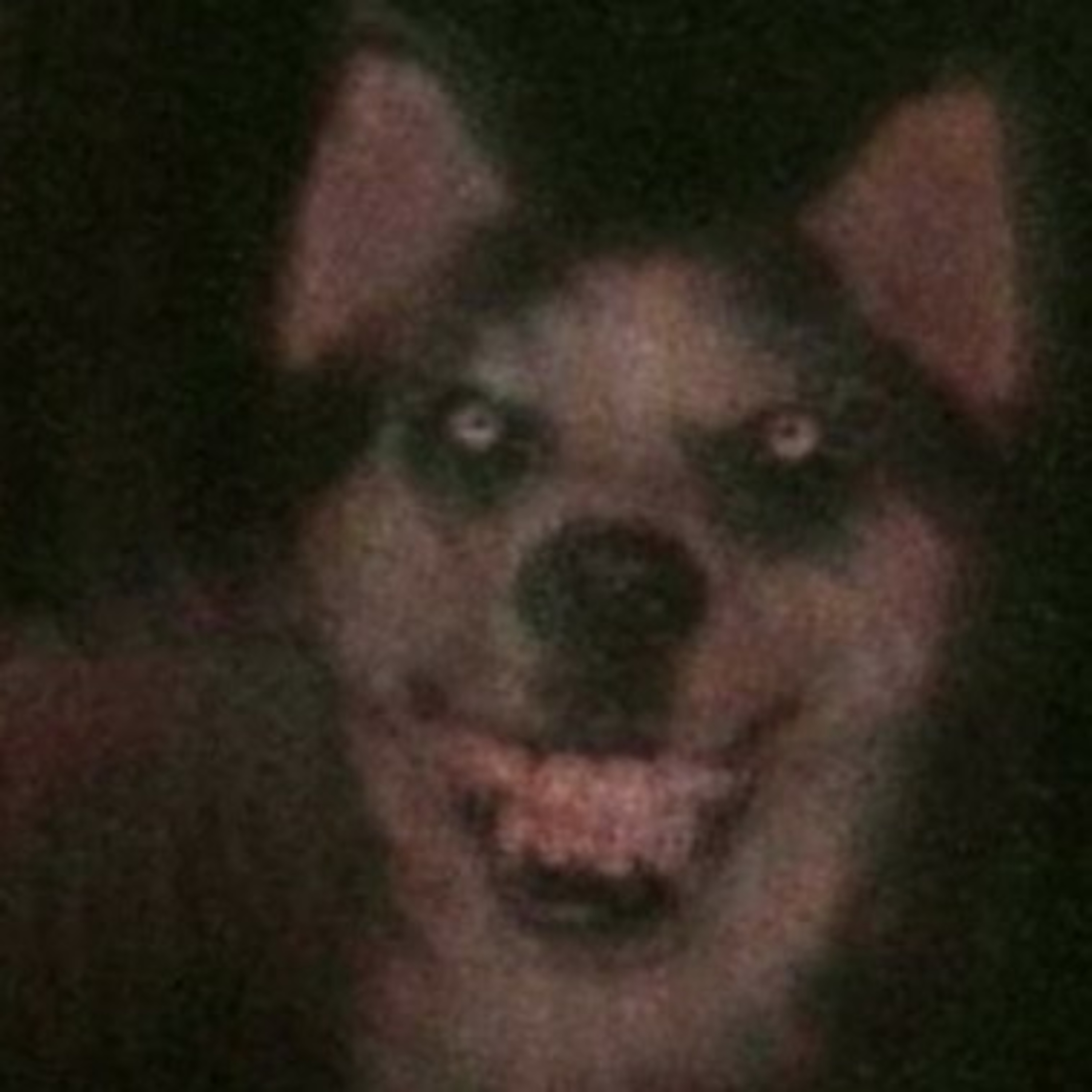 Smile Dog Creepypasta 😱 episode artwork
