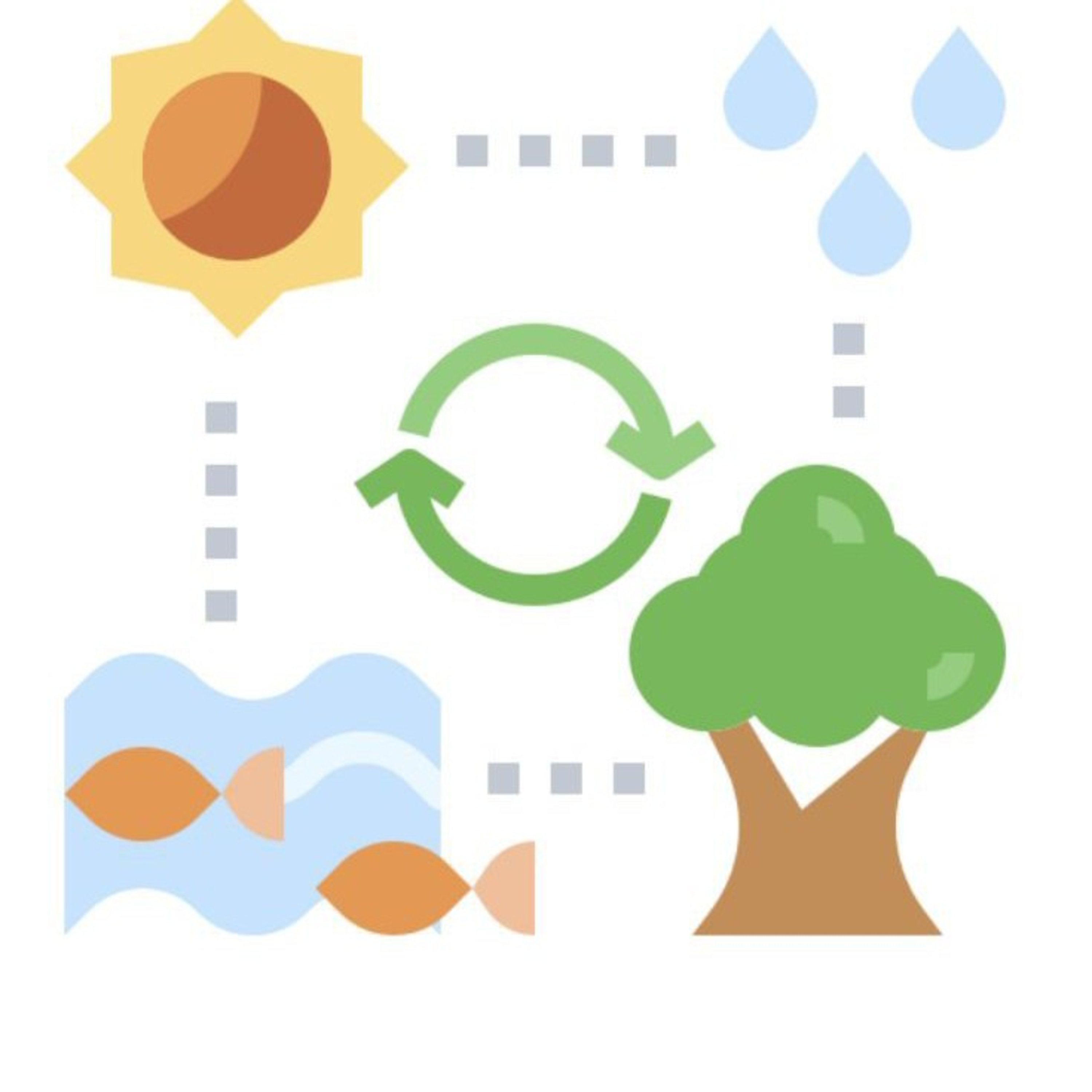 The water cycle