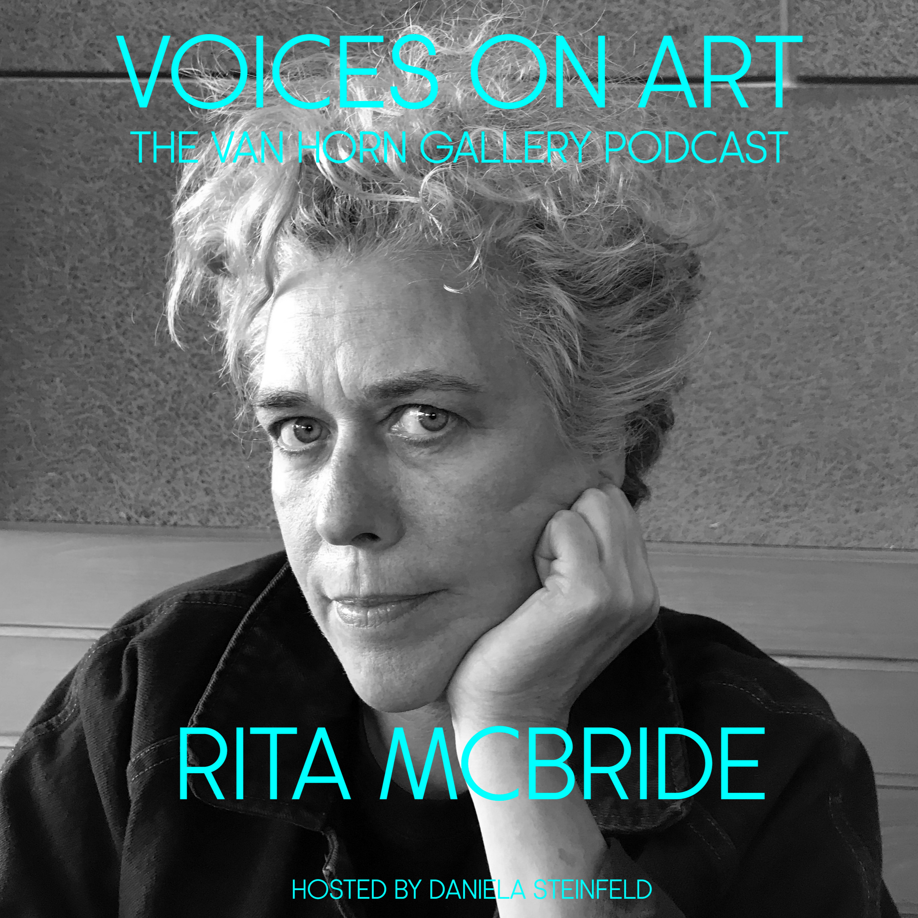 Voices On Art - The VAN HORN Gallery Podcast | hosted by Daniela Steinfeld