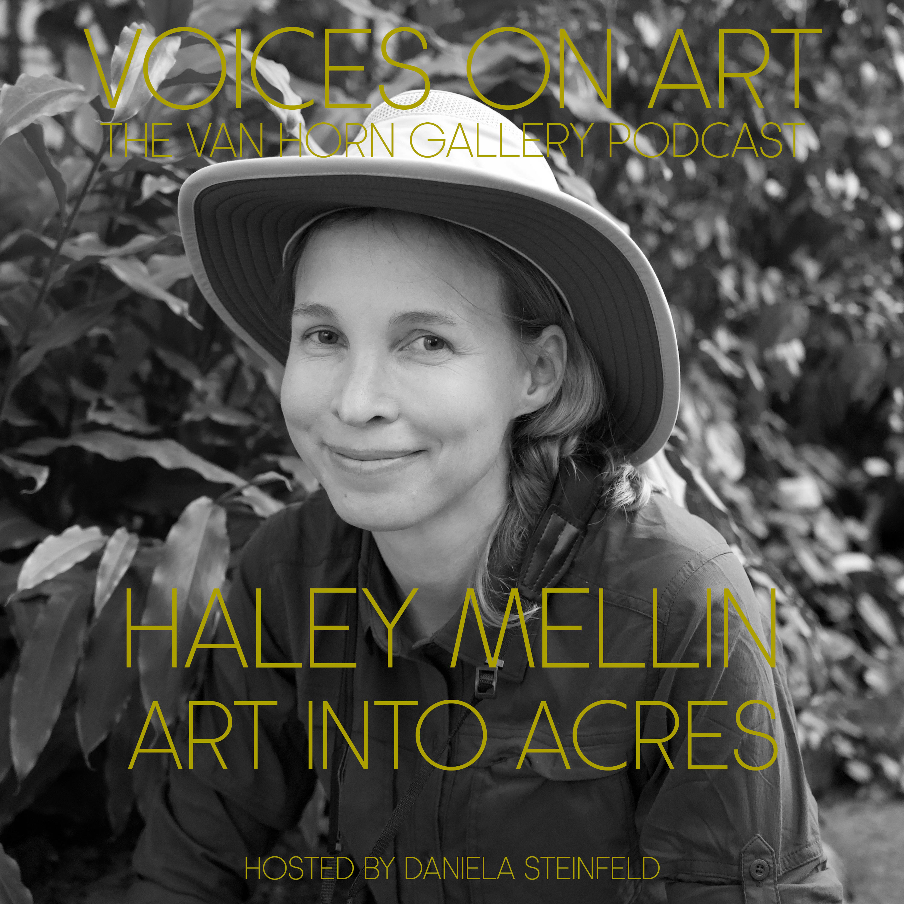 Voices On Art - The VAN HORN Gallery Podcast | hosted by Daniela Steinfeld