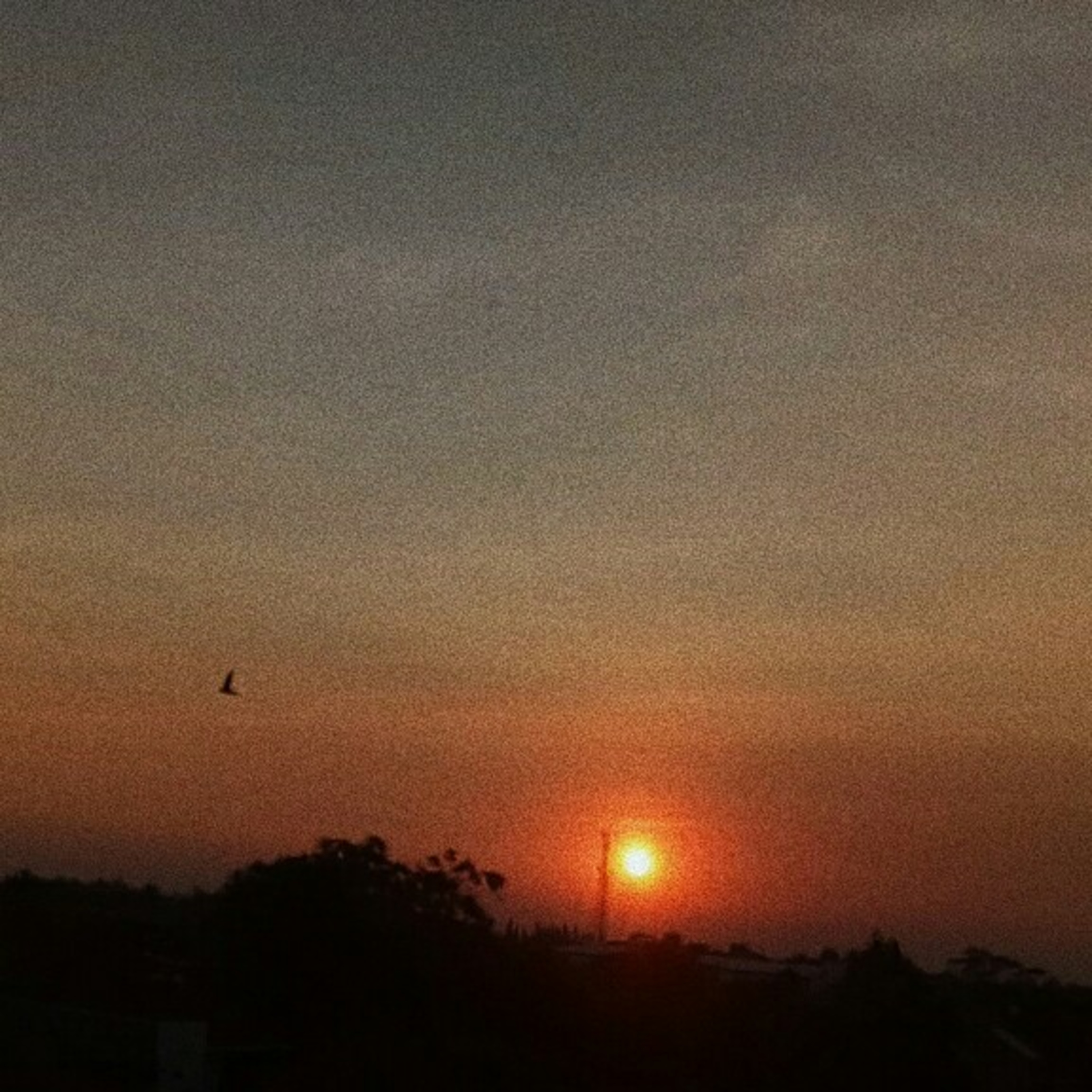 Senja Bertavaria