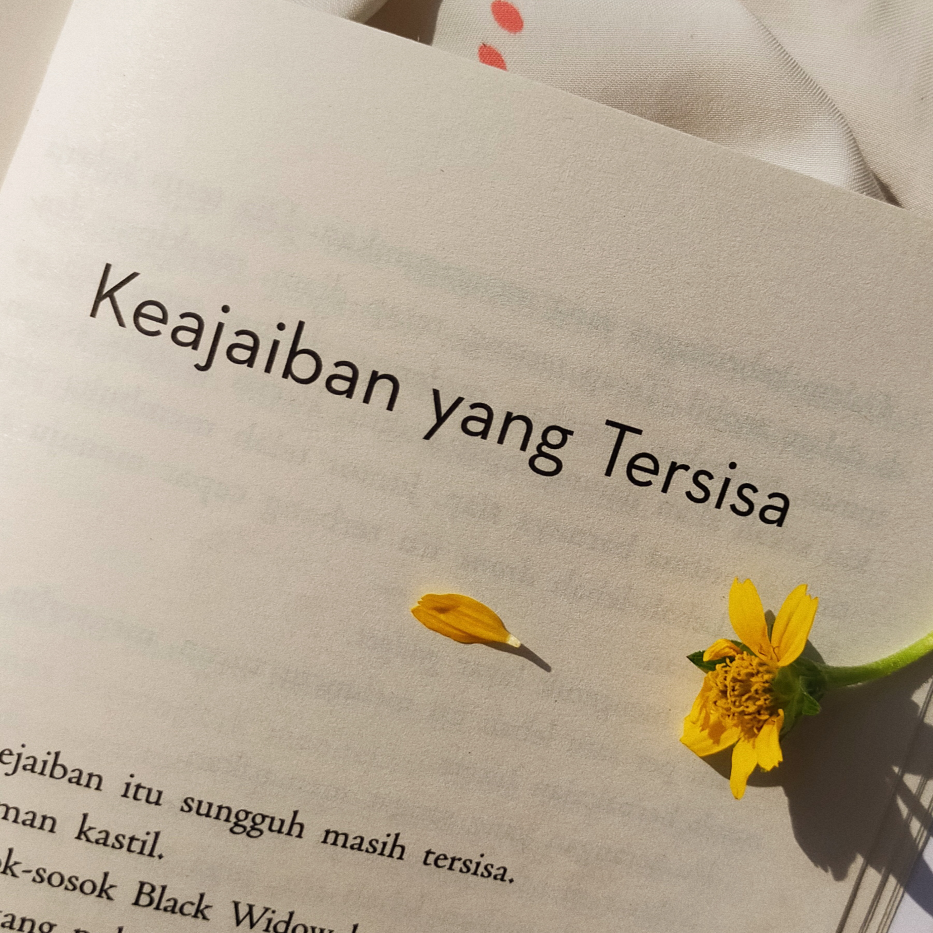 Senja Bertavaria