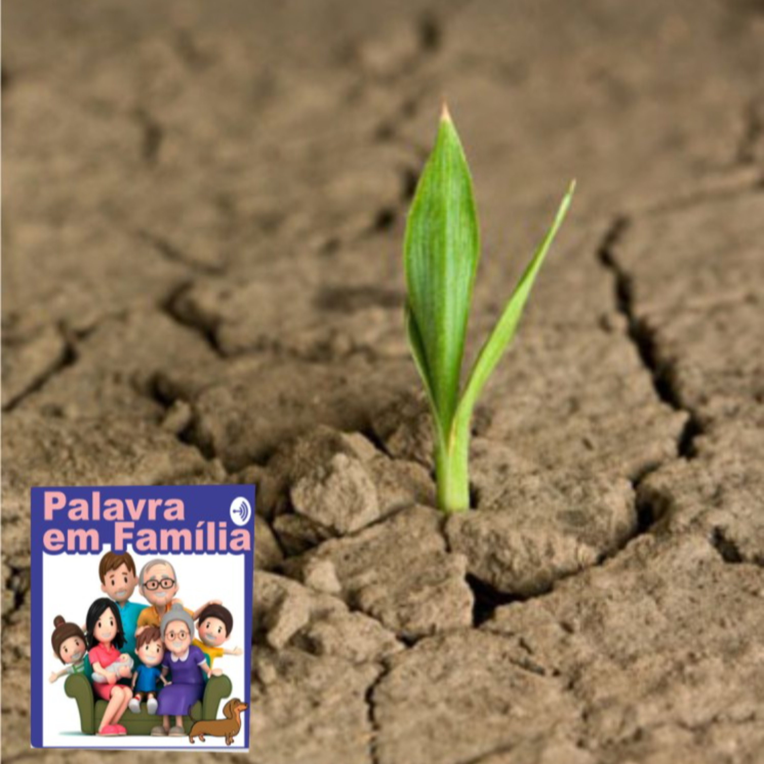 Palavra em Família