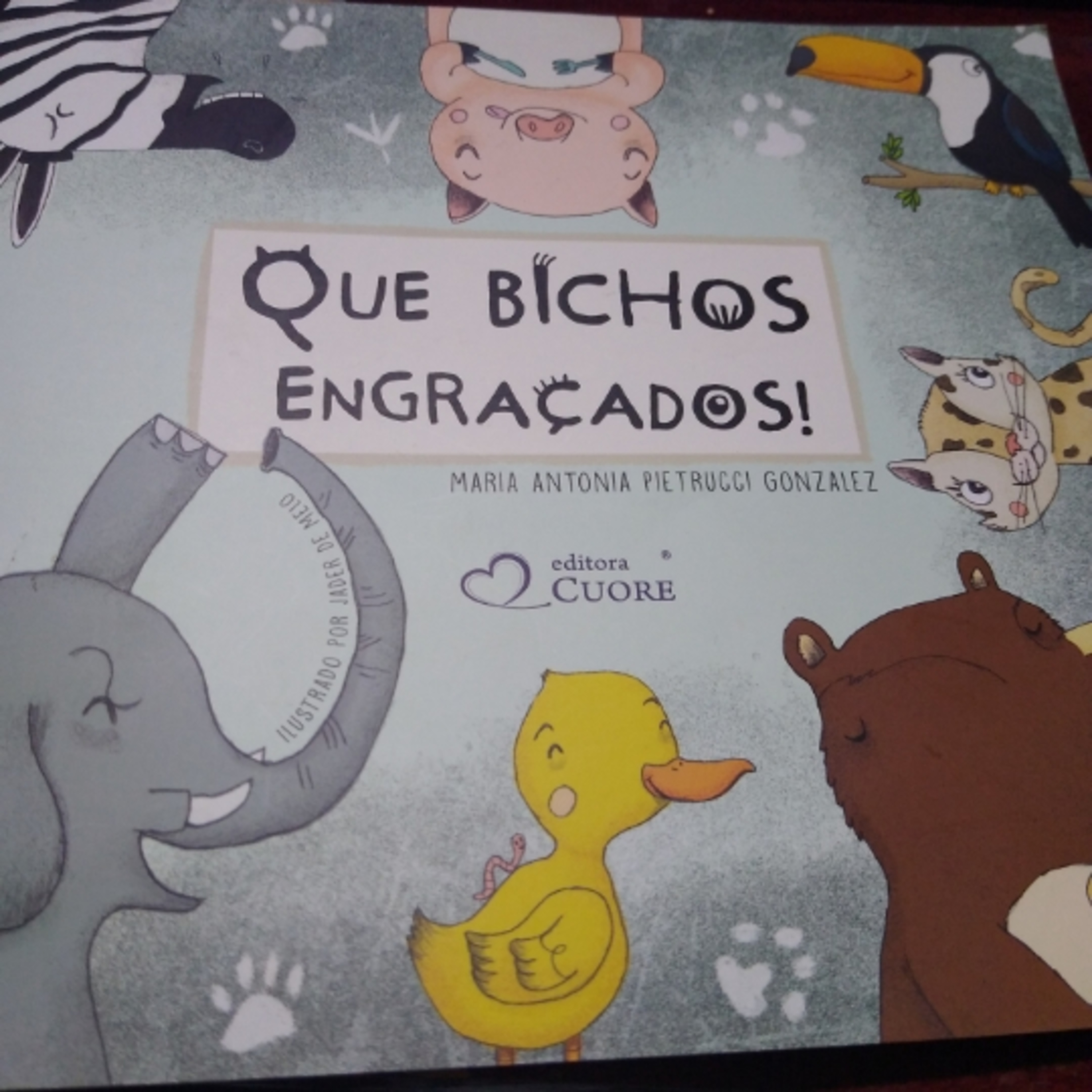 Que bichos engraçados! episode artwork