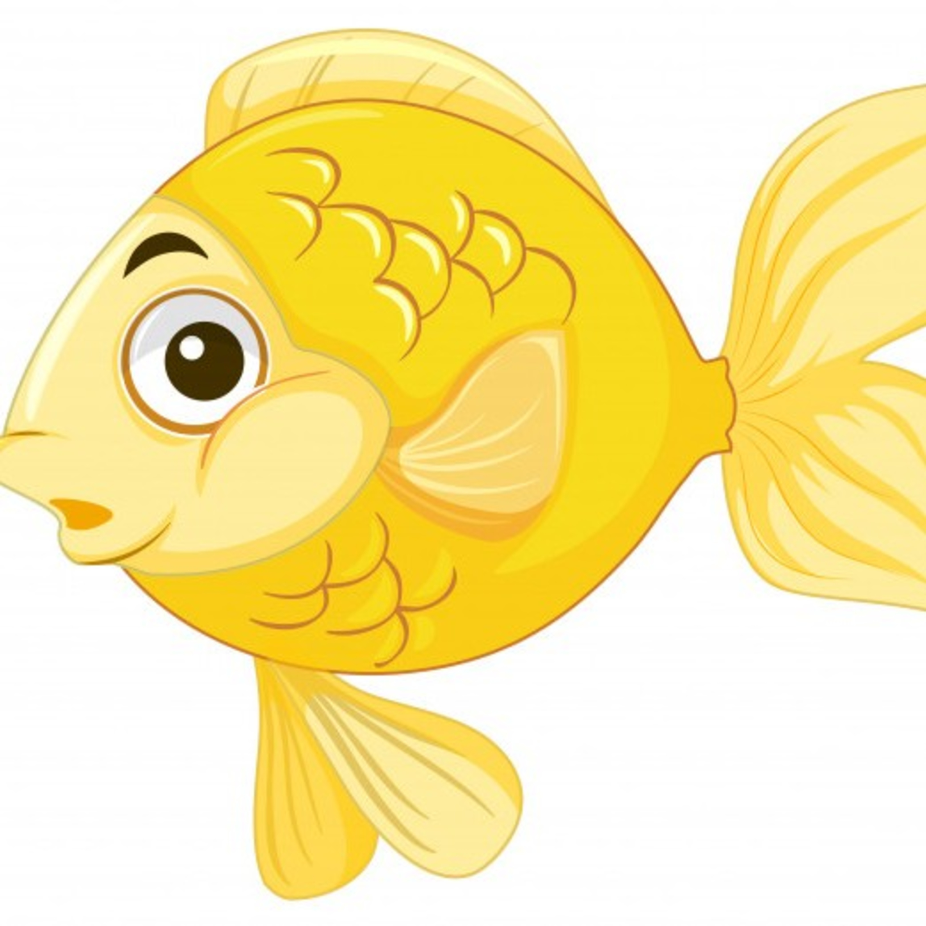 O peixinho Timbó vai a escola episode artwork