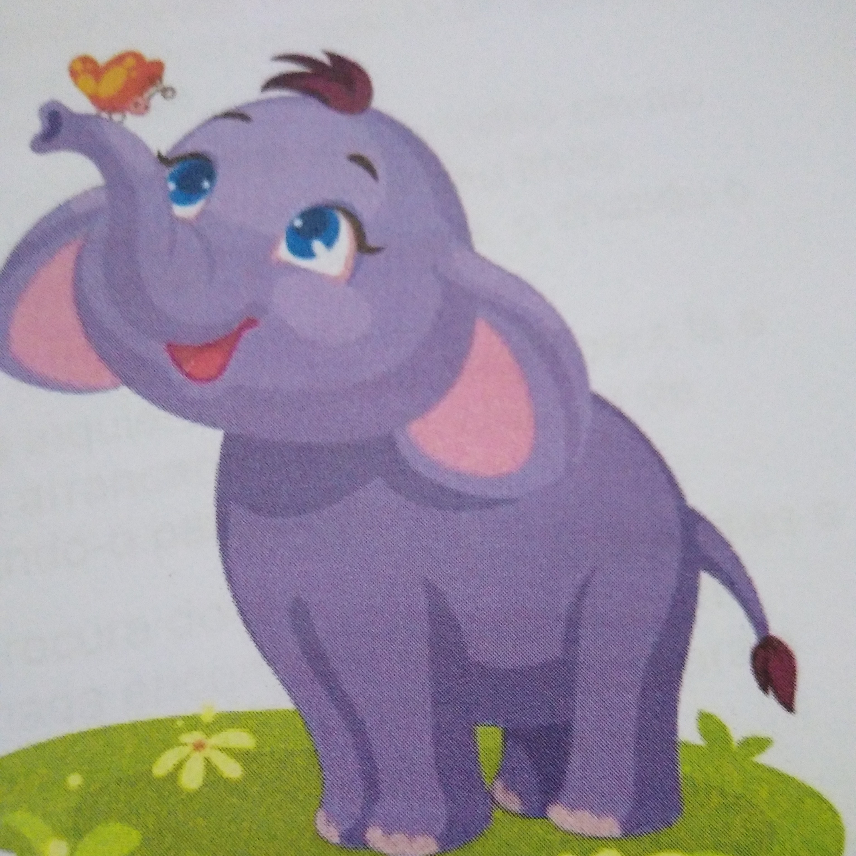 O elefante e seus amigos episode artwork