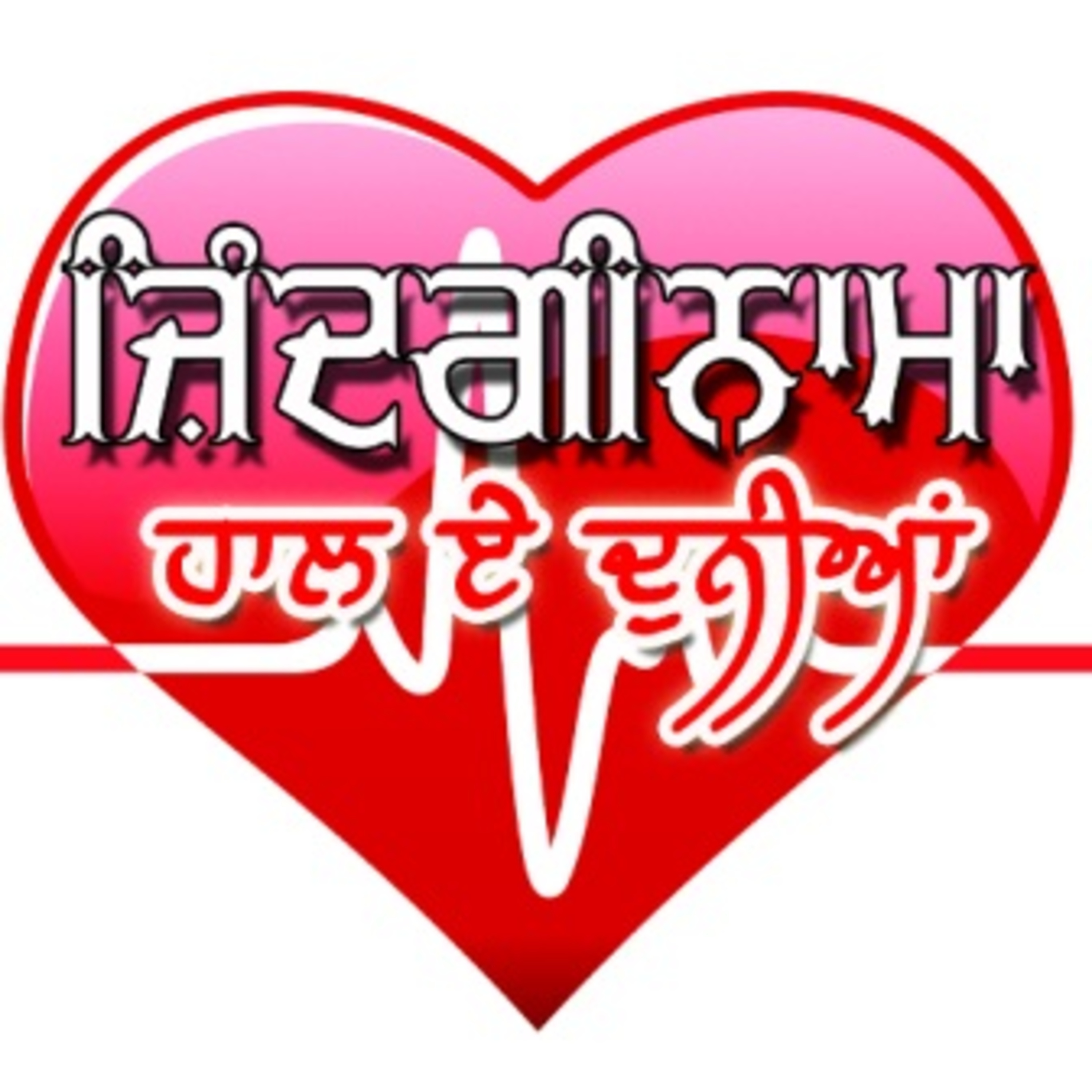  Zindaginama | 5 Jan 203 episode artwork