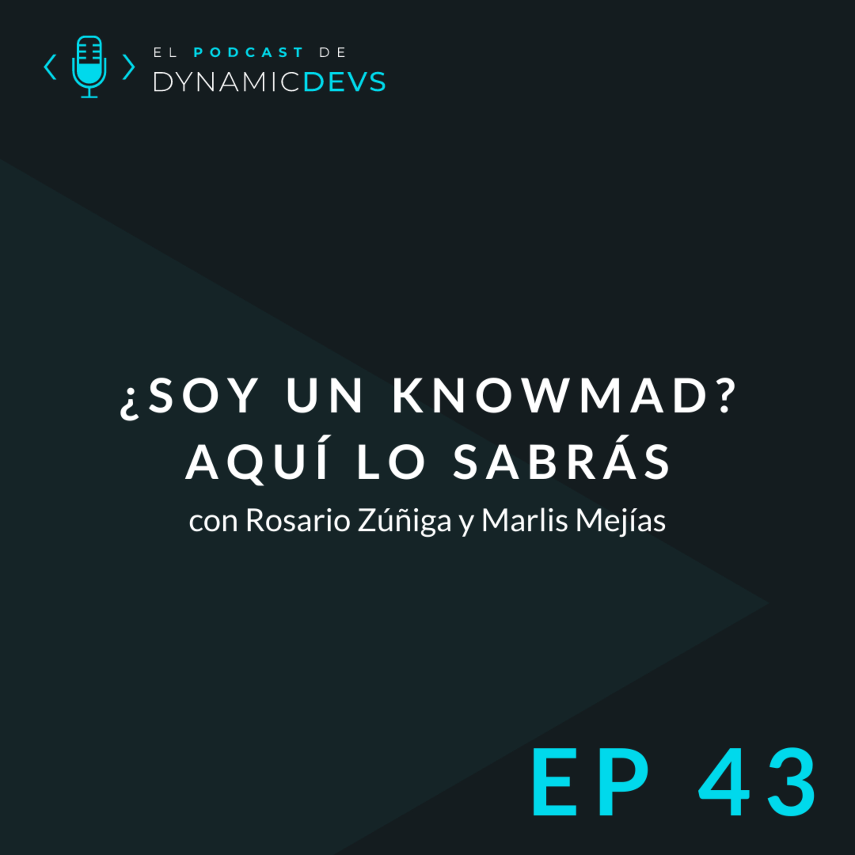 Portada de Dynamic Devs