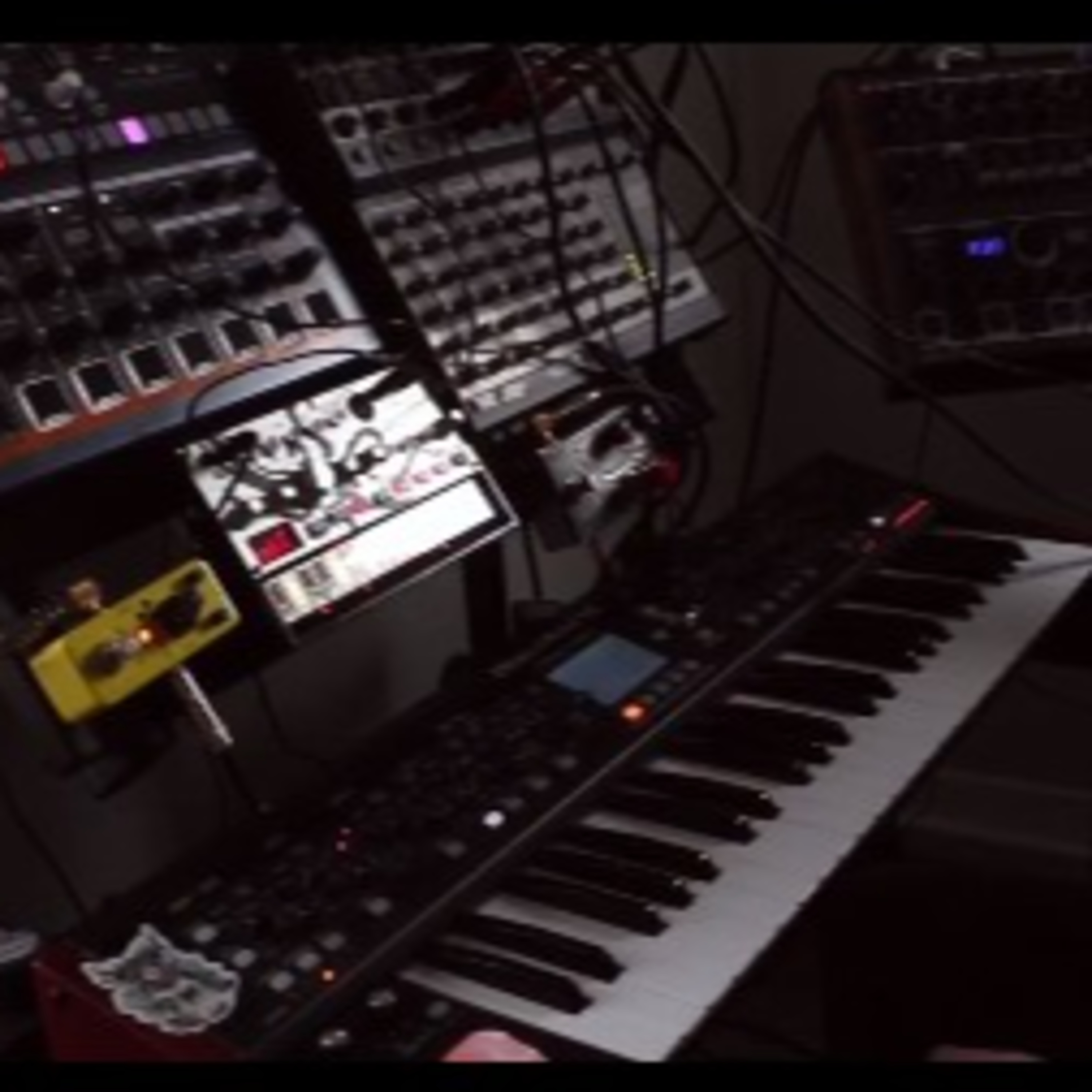 Arboreal Squid PEG Bedroom Producer Festival 2022 