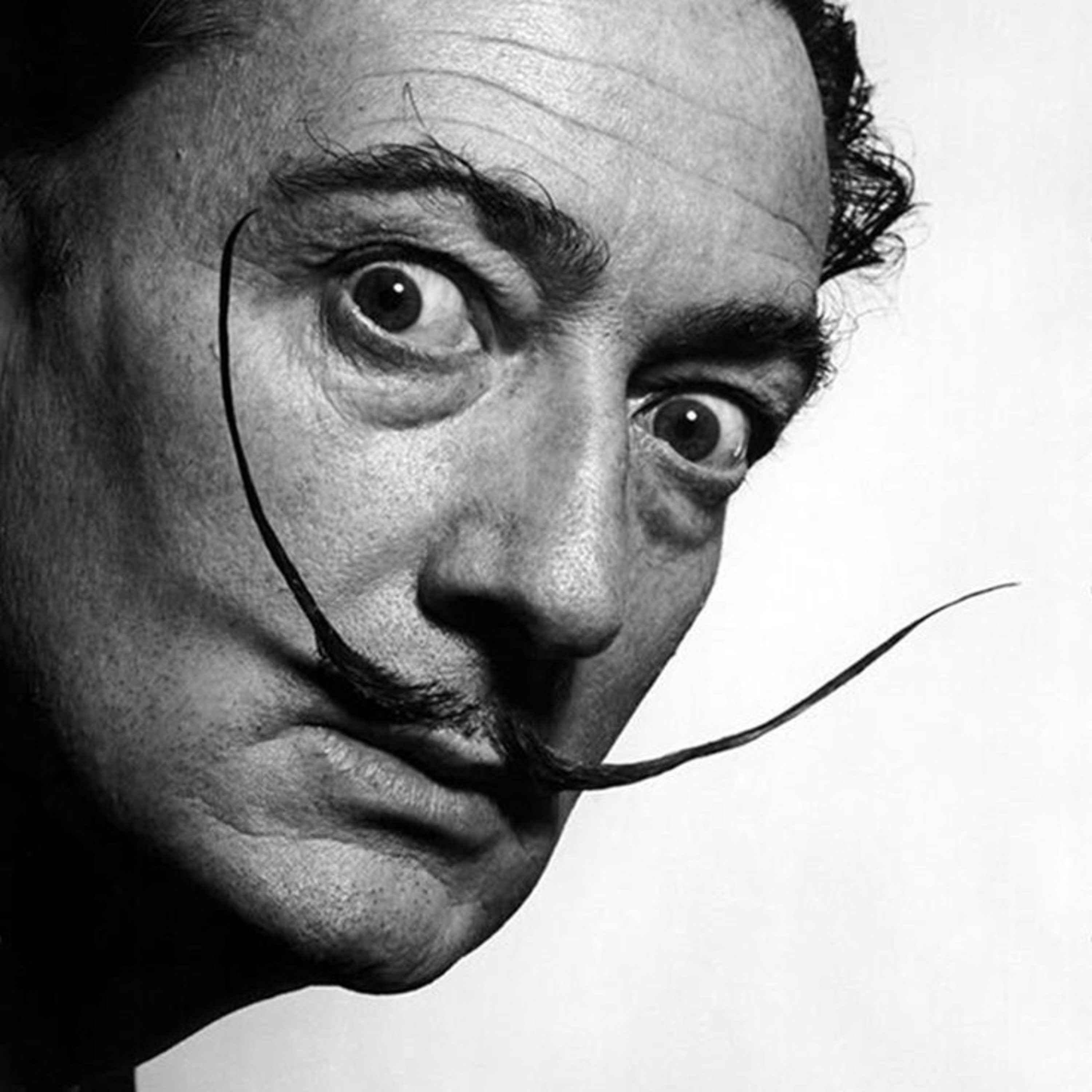 Salvador Dali episode artwork