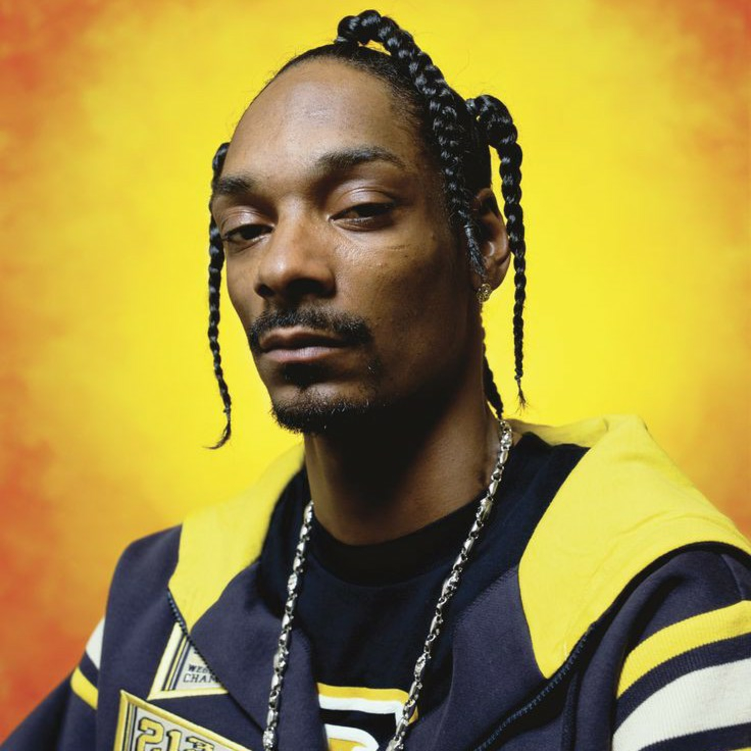 Snoop Dogg episode artwork
