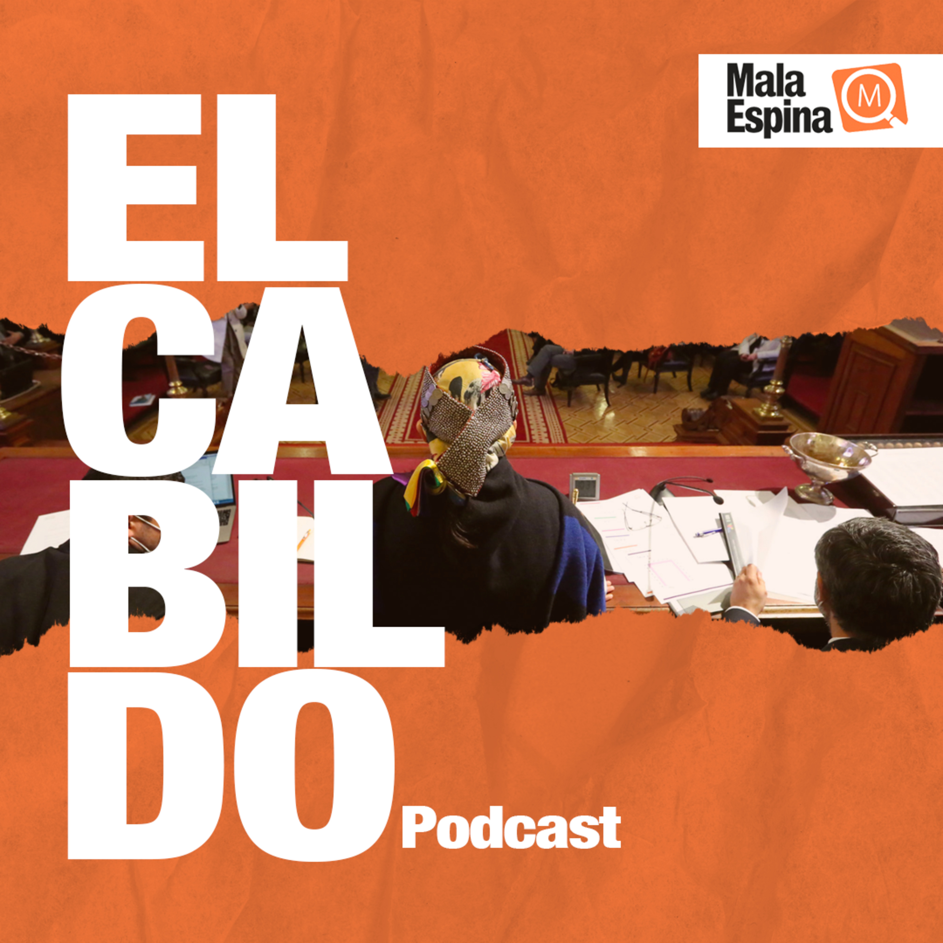 Mala Espina Check/ Convención Constitucional