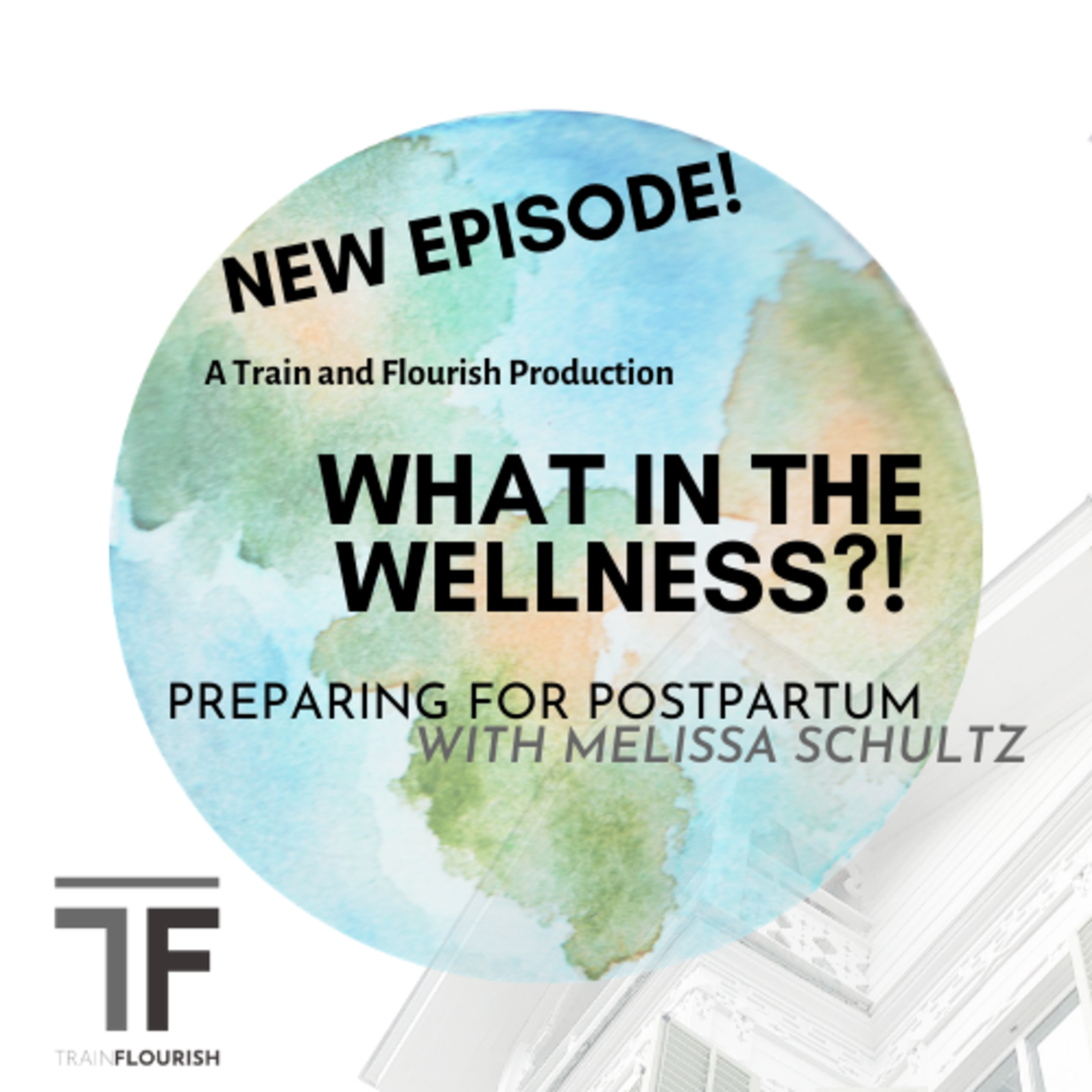 Birthday Month Series Part 3: Preparing for Postpartum with Melissa Schultz