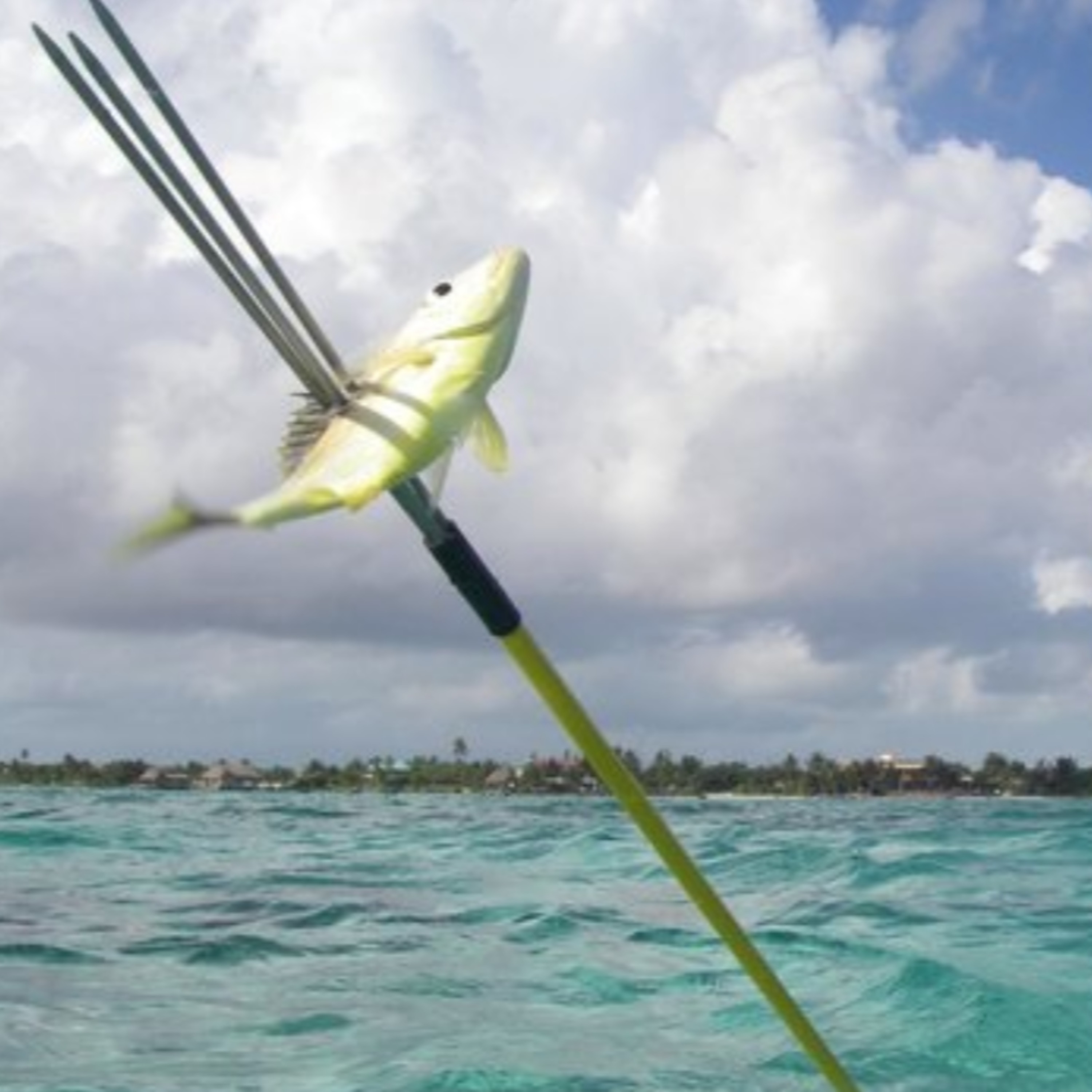 Spear phishing is on the rise episode artwork