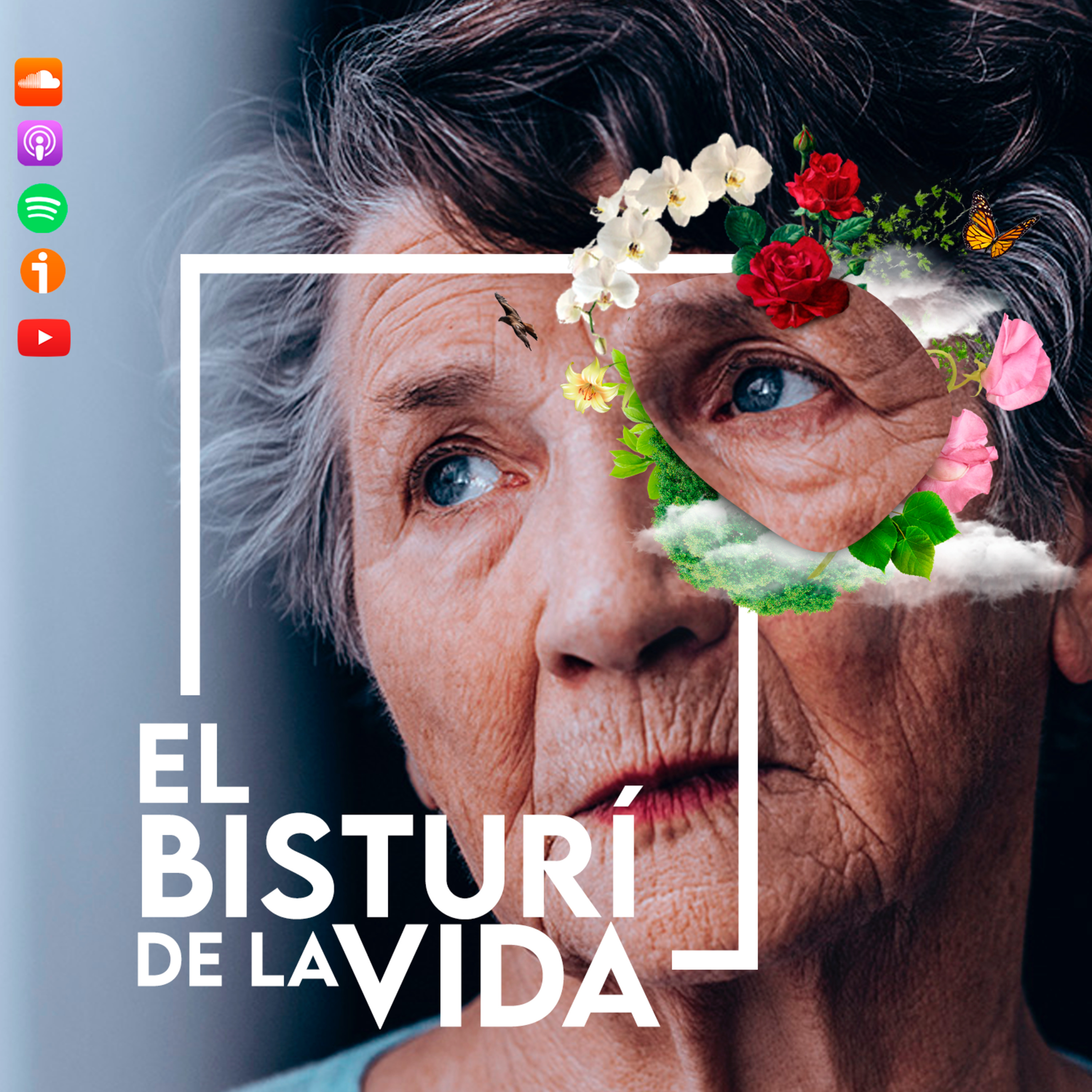 El Bisturí de la Vida