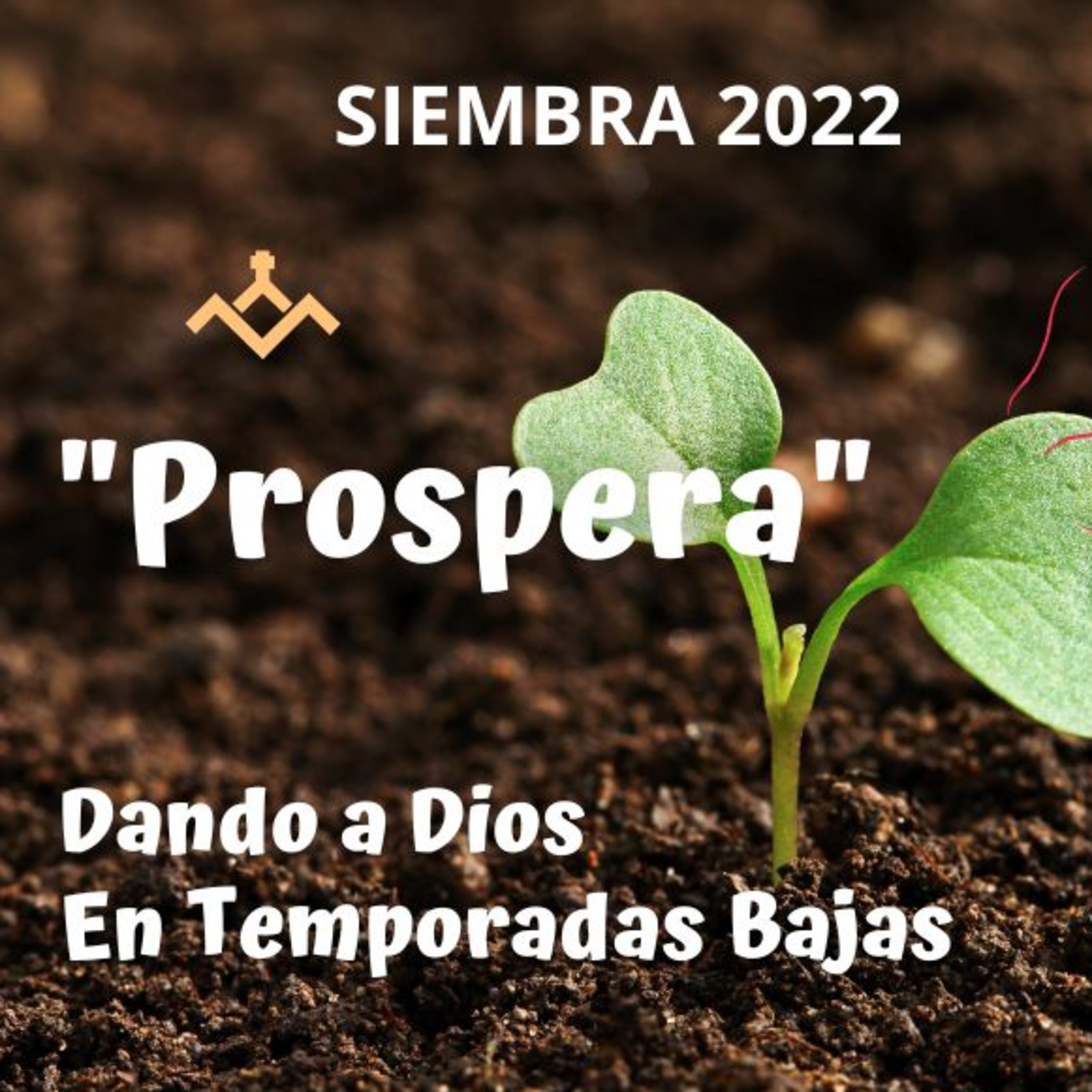 Predicaciones, Mensajes de Ánimo y de Reflexión