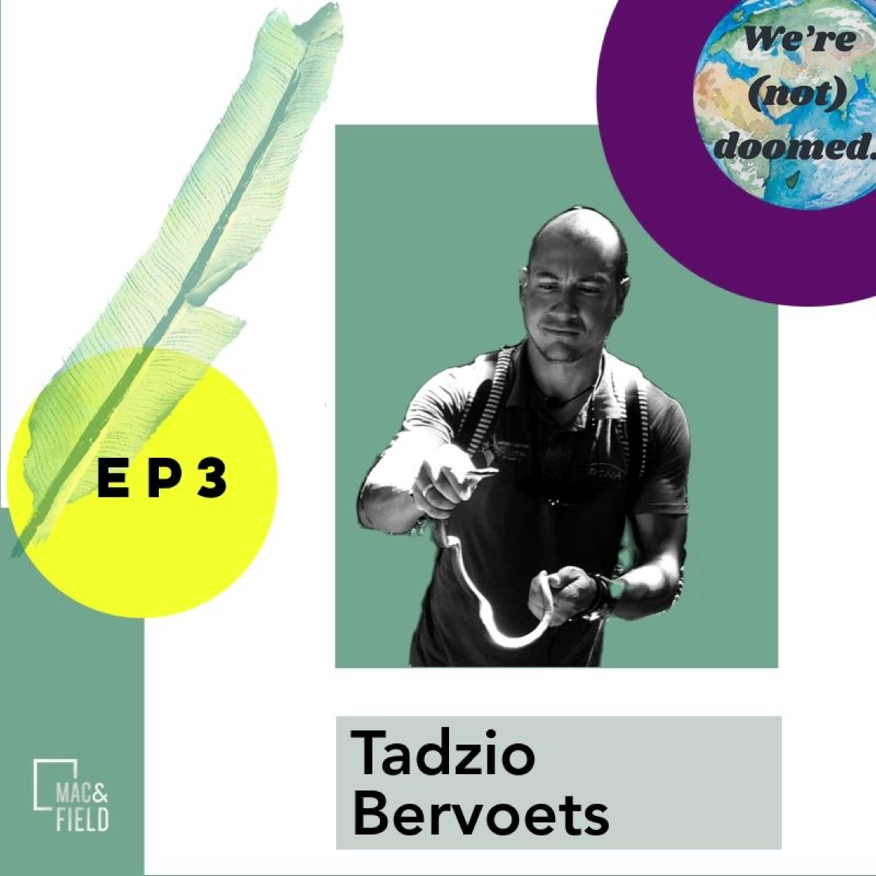 Sharks, mangroves and financing nature: a conversation with Tadzio Bervoets.