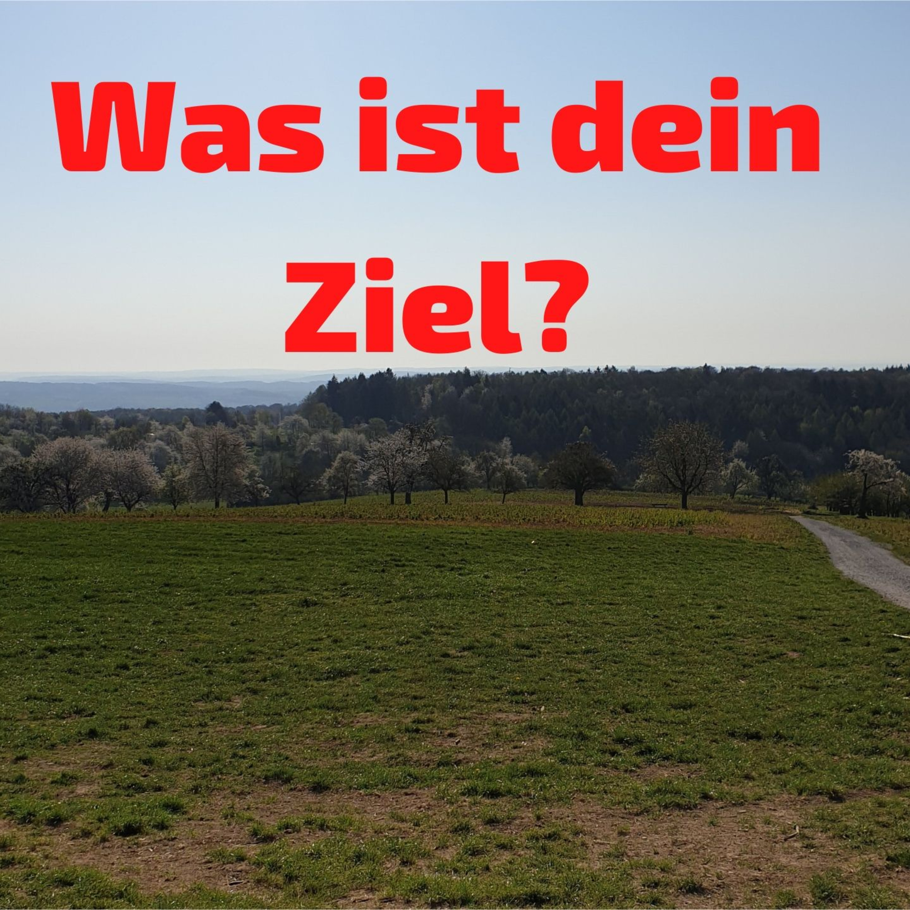 Die Gesundheitslounge by Thorsten Schmitt - der Podcast für vielbeschäftigte Gesundheitsbewusste.