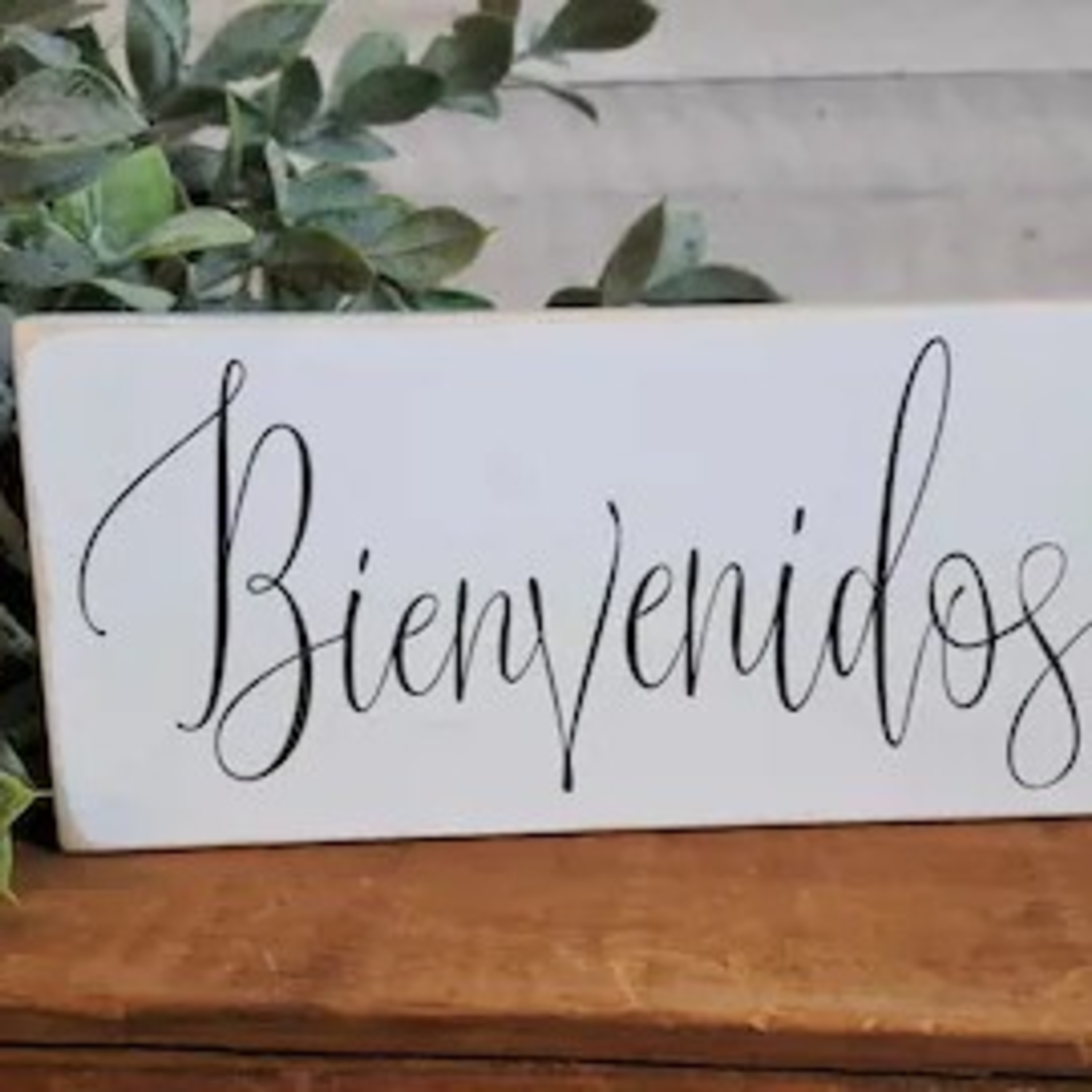 Bienvenidos episode artwork