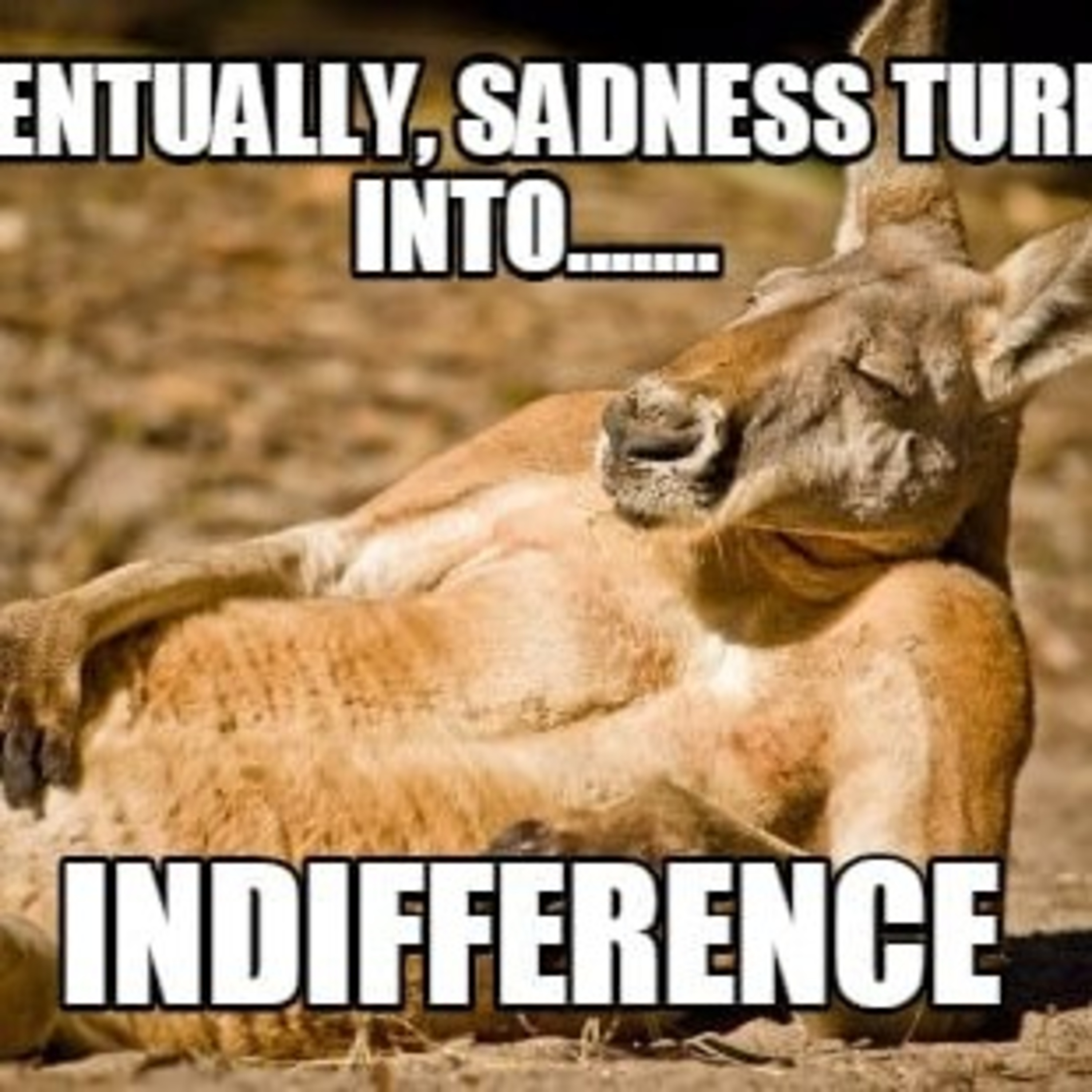Indifference  episode artwork