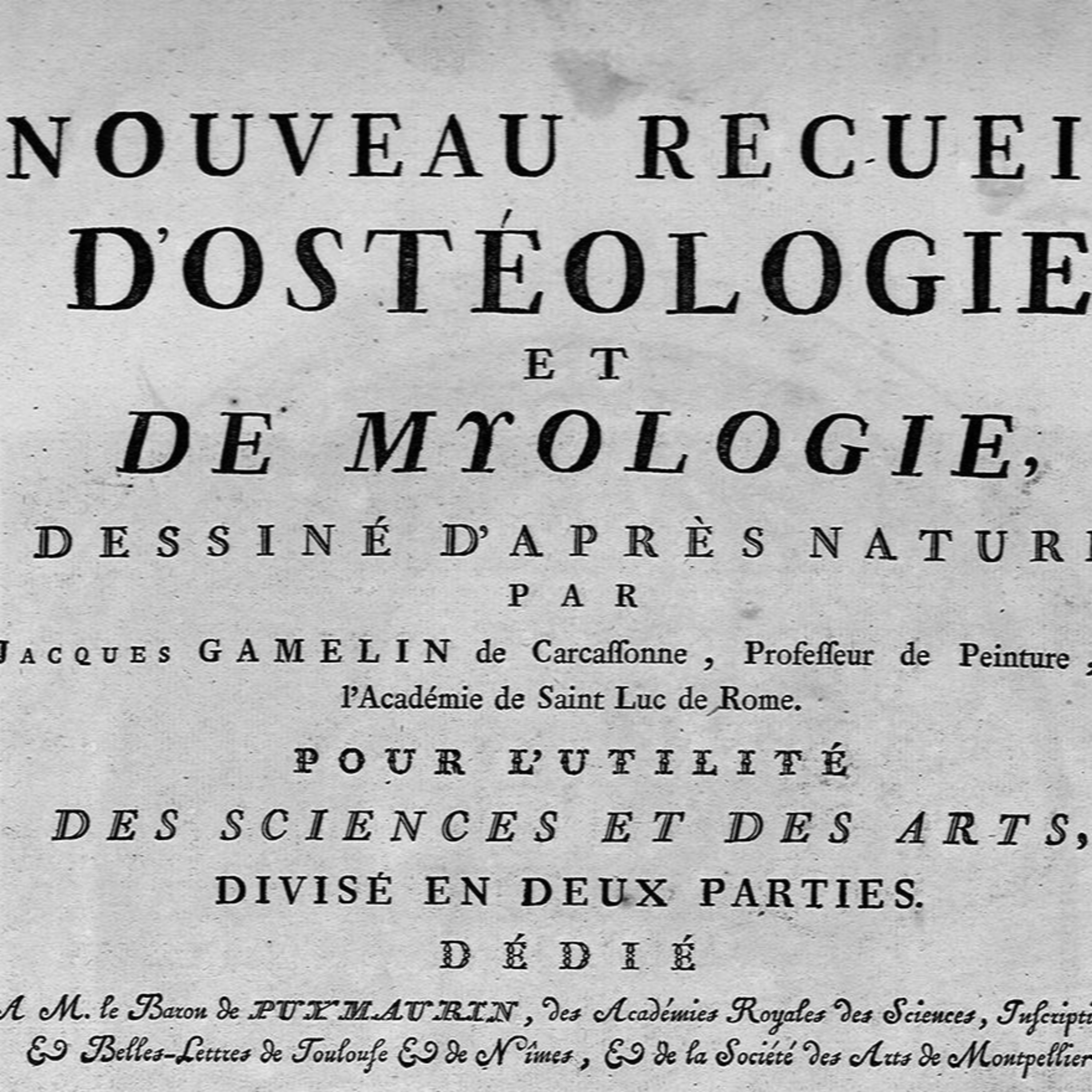 Petites histoires d'archives #7 Un ouvrage rare, le nouveau recueil d'ostéologie et de myologie de Jacques Gamelin
