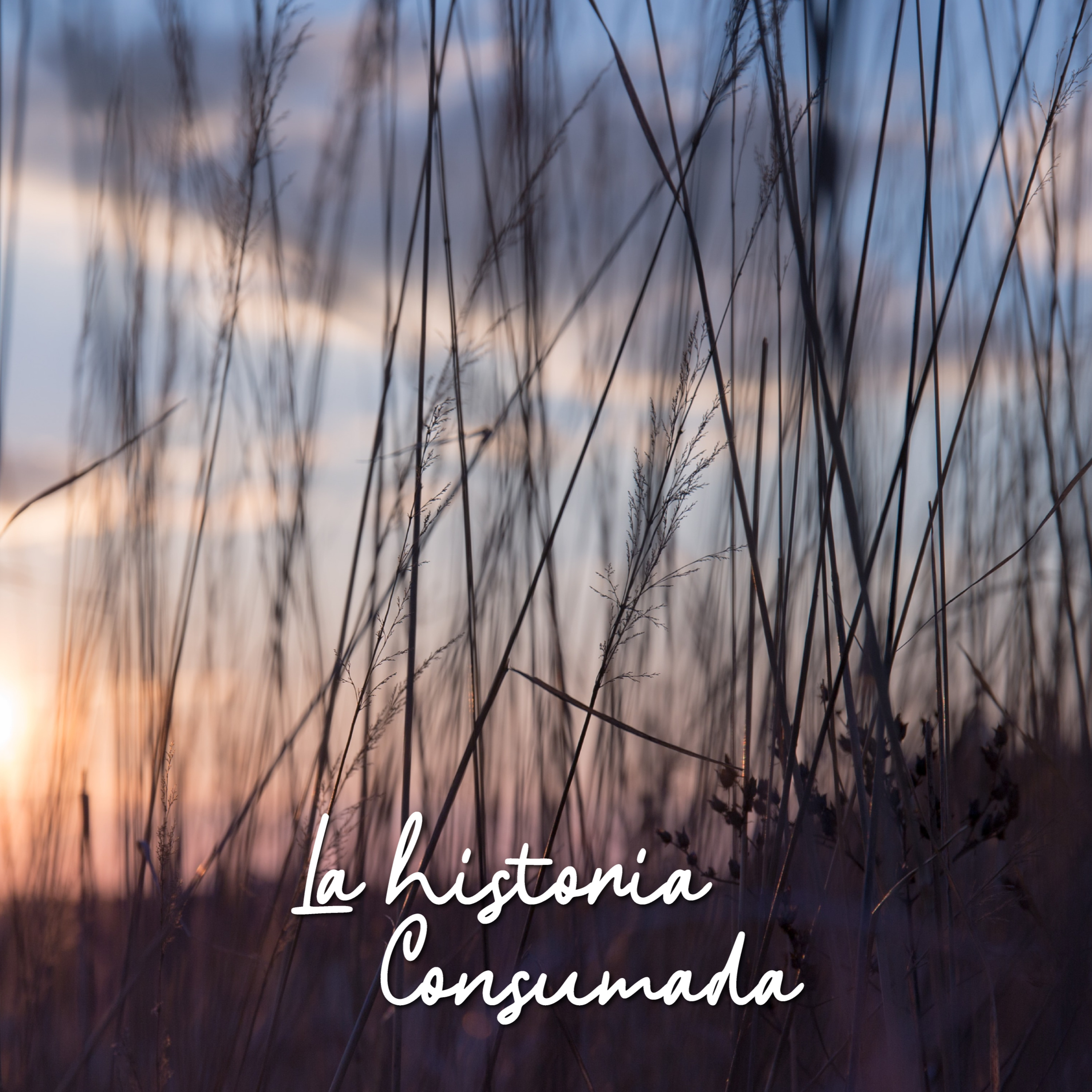 REFLEXION DIARIA