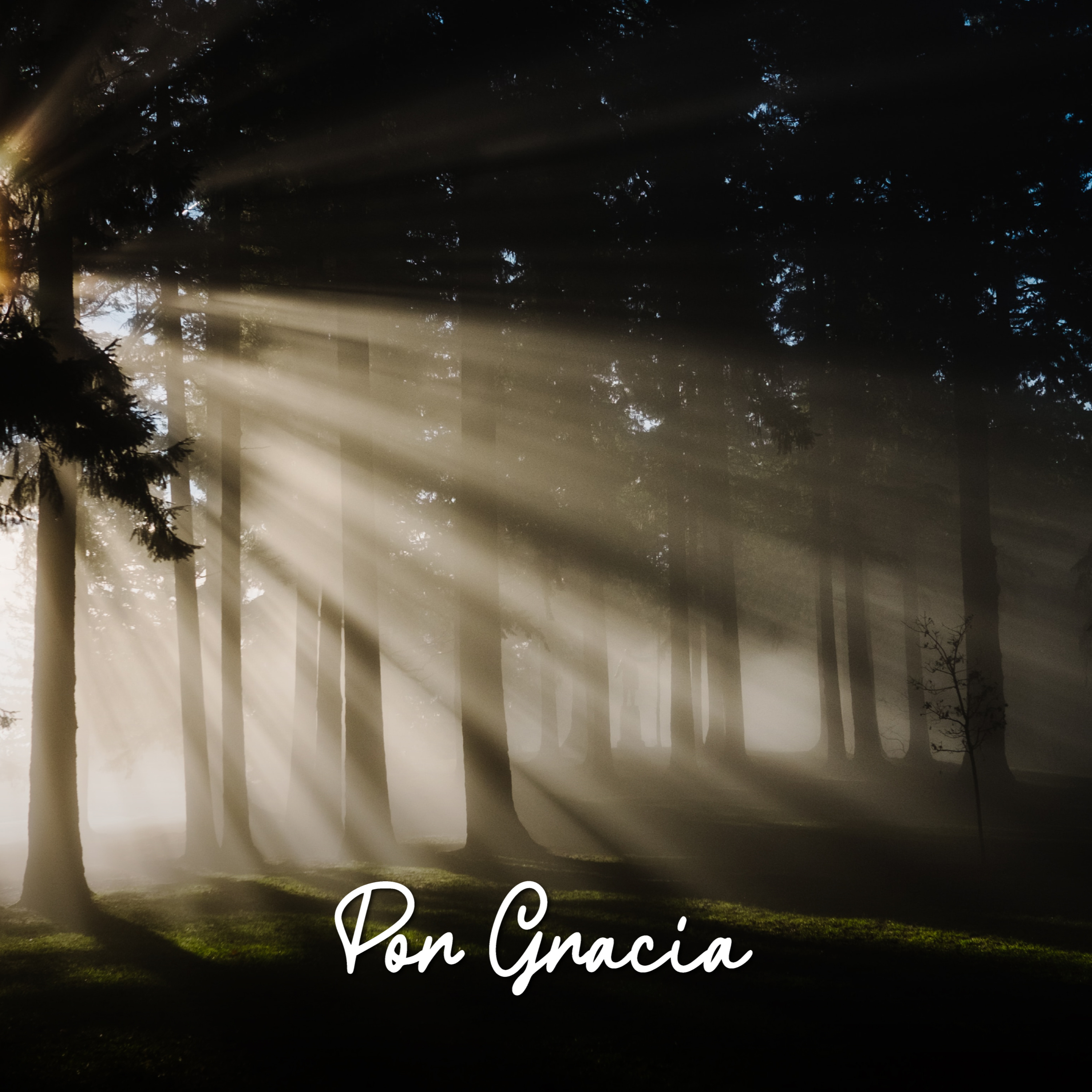 POR GRACIA episode artwork