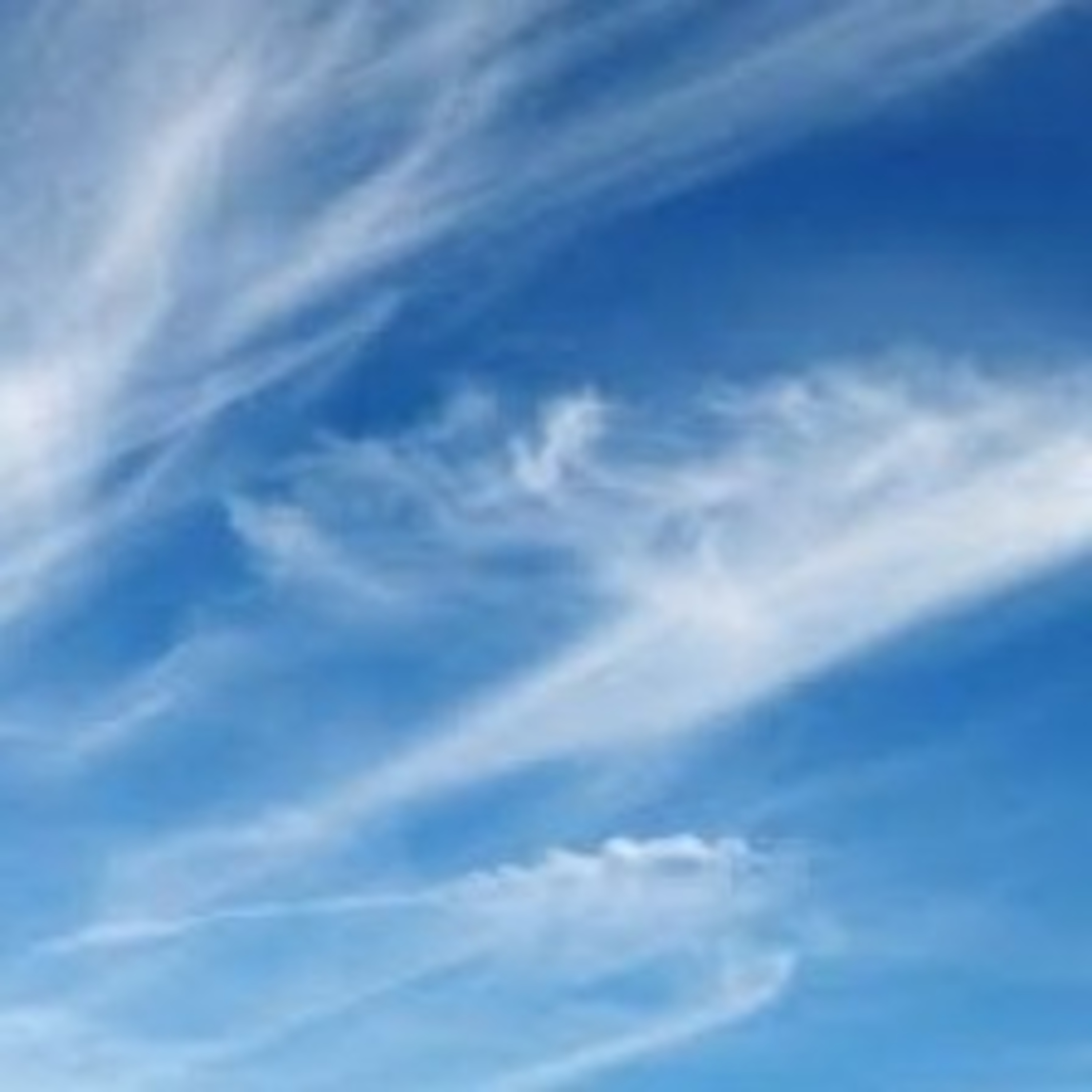 Leituras, Livros e Poemas by Ana Maria Castelo Branco