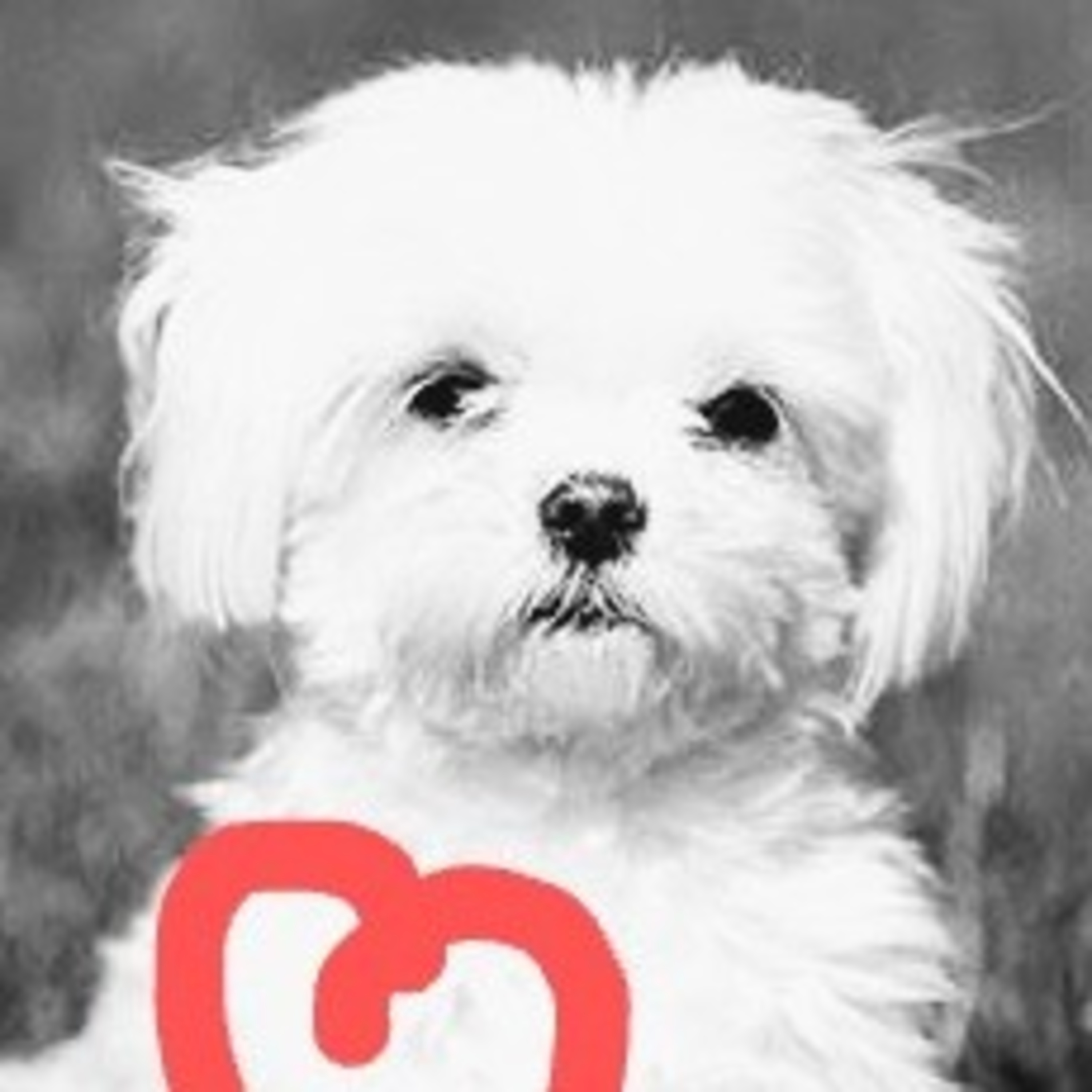 Leituras, Livros e Poemas by Ana Maria Castelo Branco