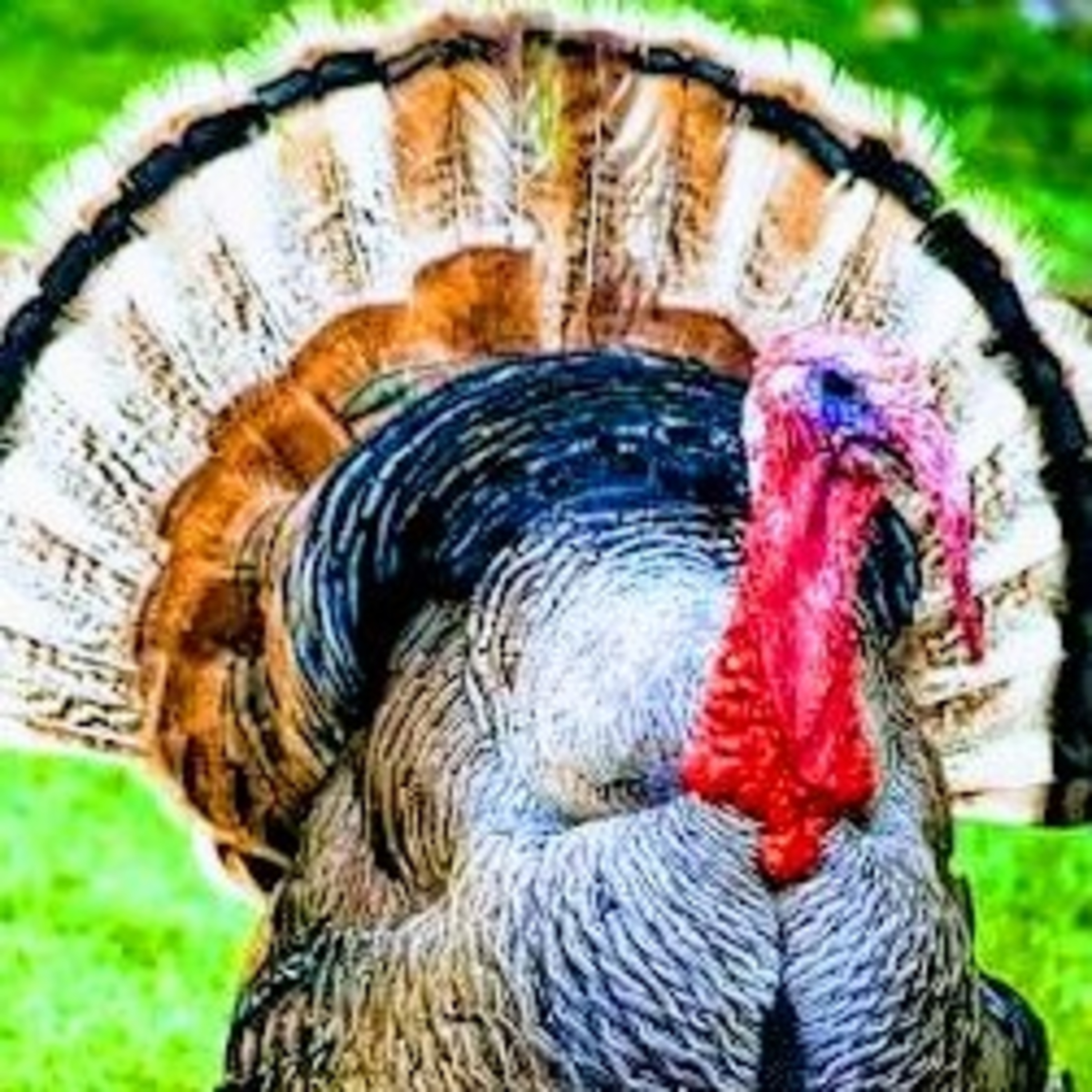 Leituras, Livros e Poemas by Ana Maria Castelo Branco