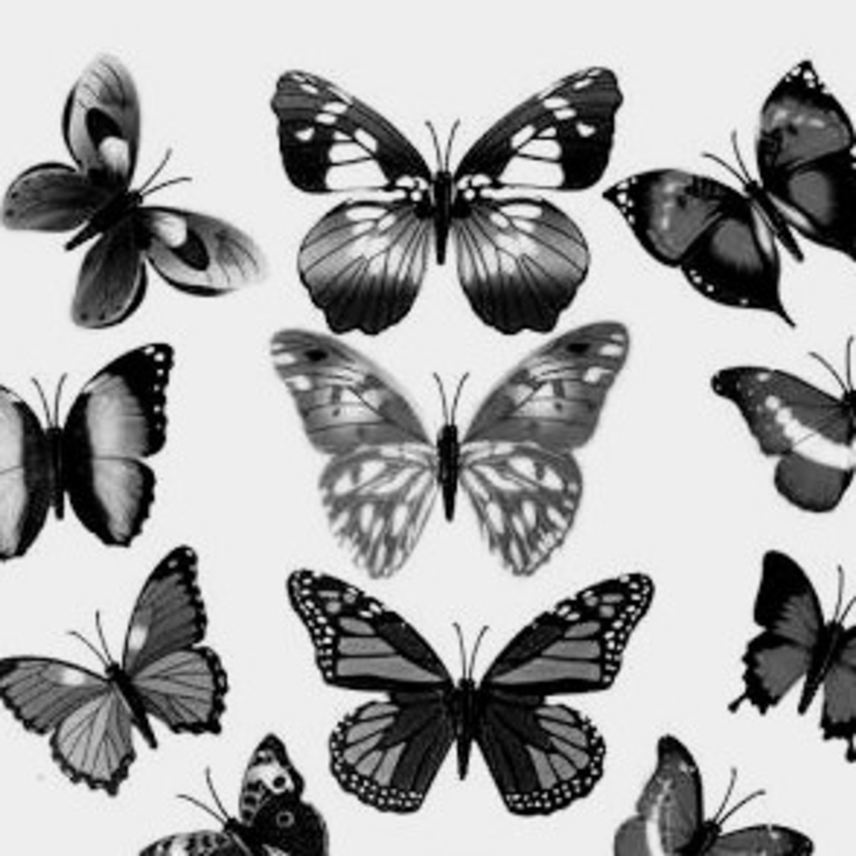 Leituras, Livros e Poemas by Ana Maria Castelo Branco