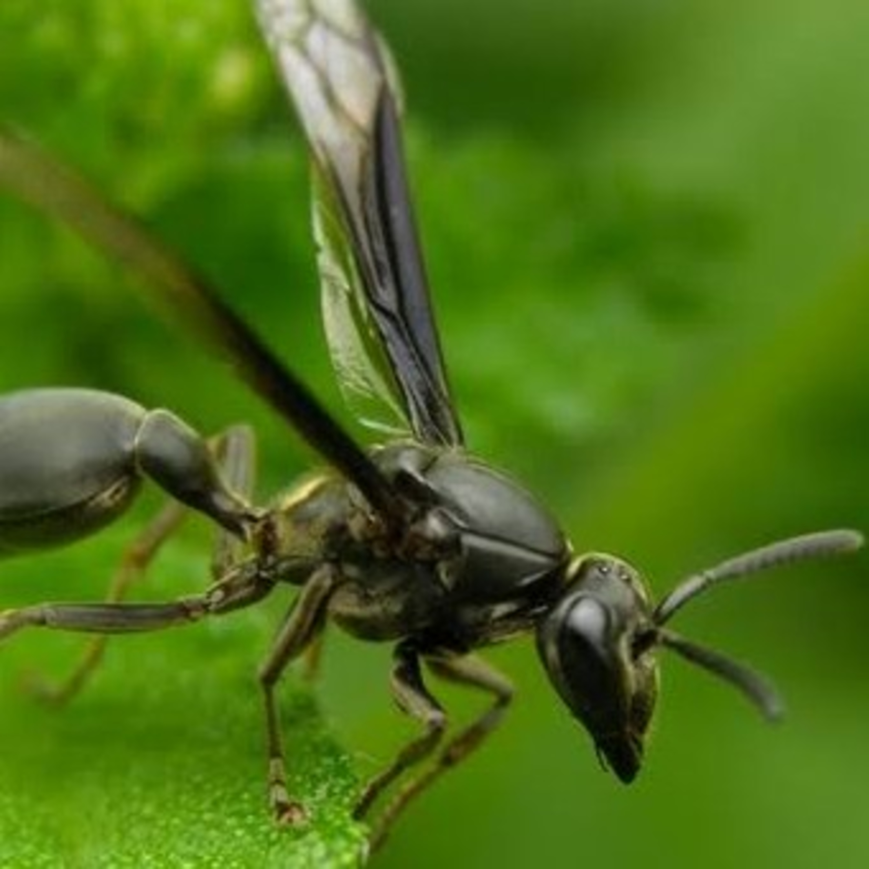 Leituras, Livros e Poemas by Ana Maria Castelo Branco