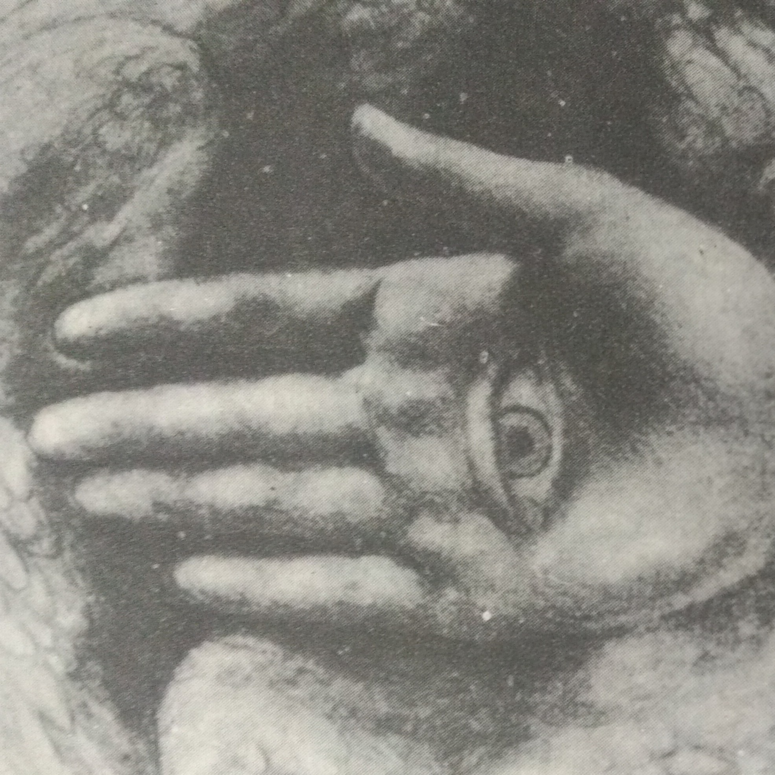 Leituras, Livros e Poemas by Ana Maria Castelo Branco