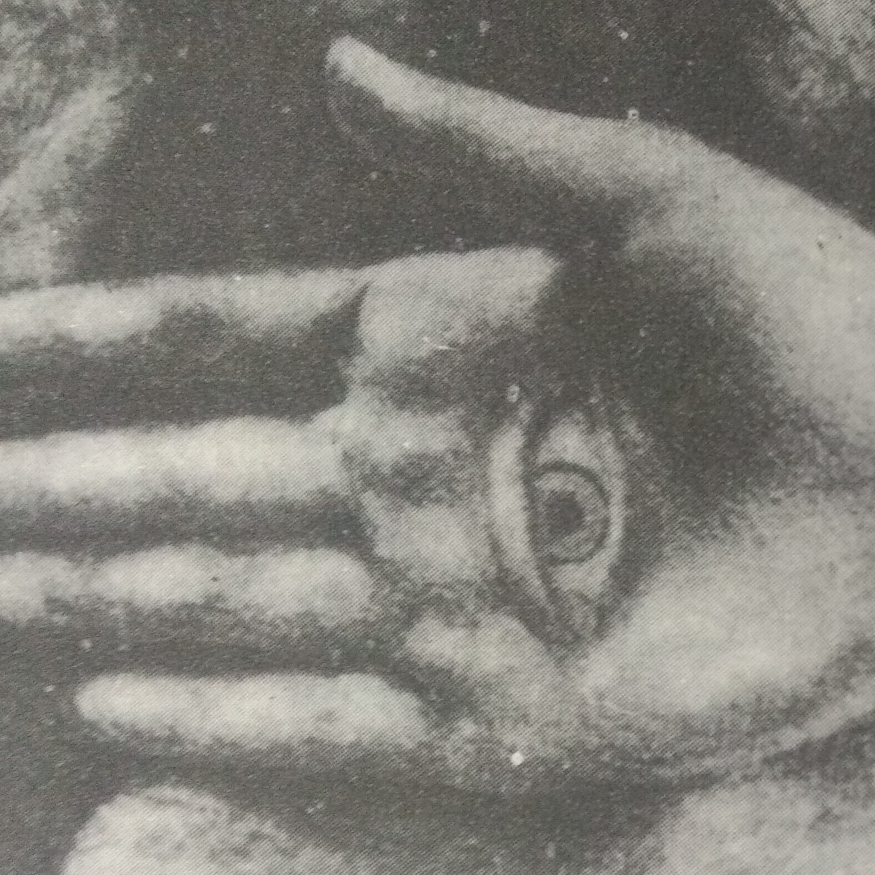 Leituras, Livros e Poemas by Ana Maria Castelo Branco